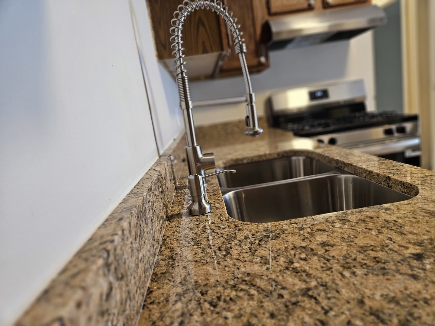 1093 Kane Street, Unit 1093 South Elgin, IL 60177 - Photo 6 of 17