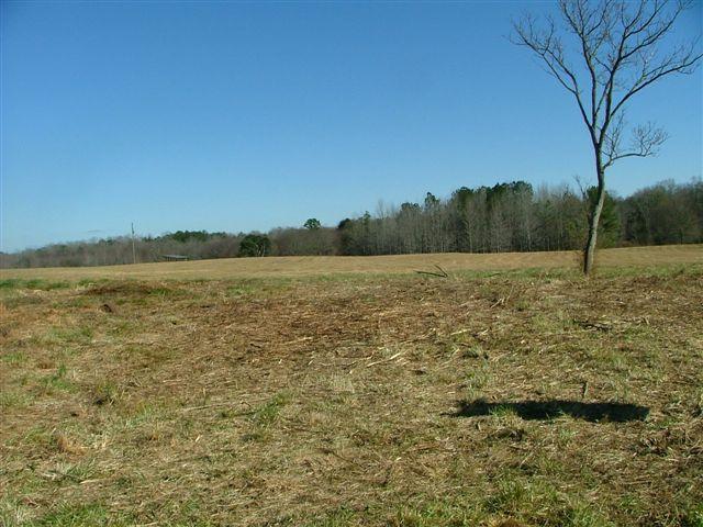 0 Old Meansville Road Meansville, GA 30256 - Photo 1 of 1 Gallery Image 1