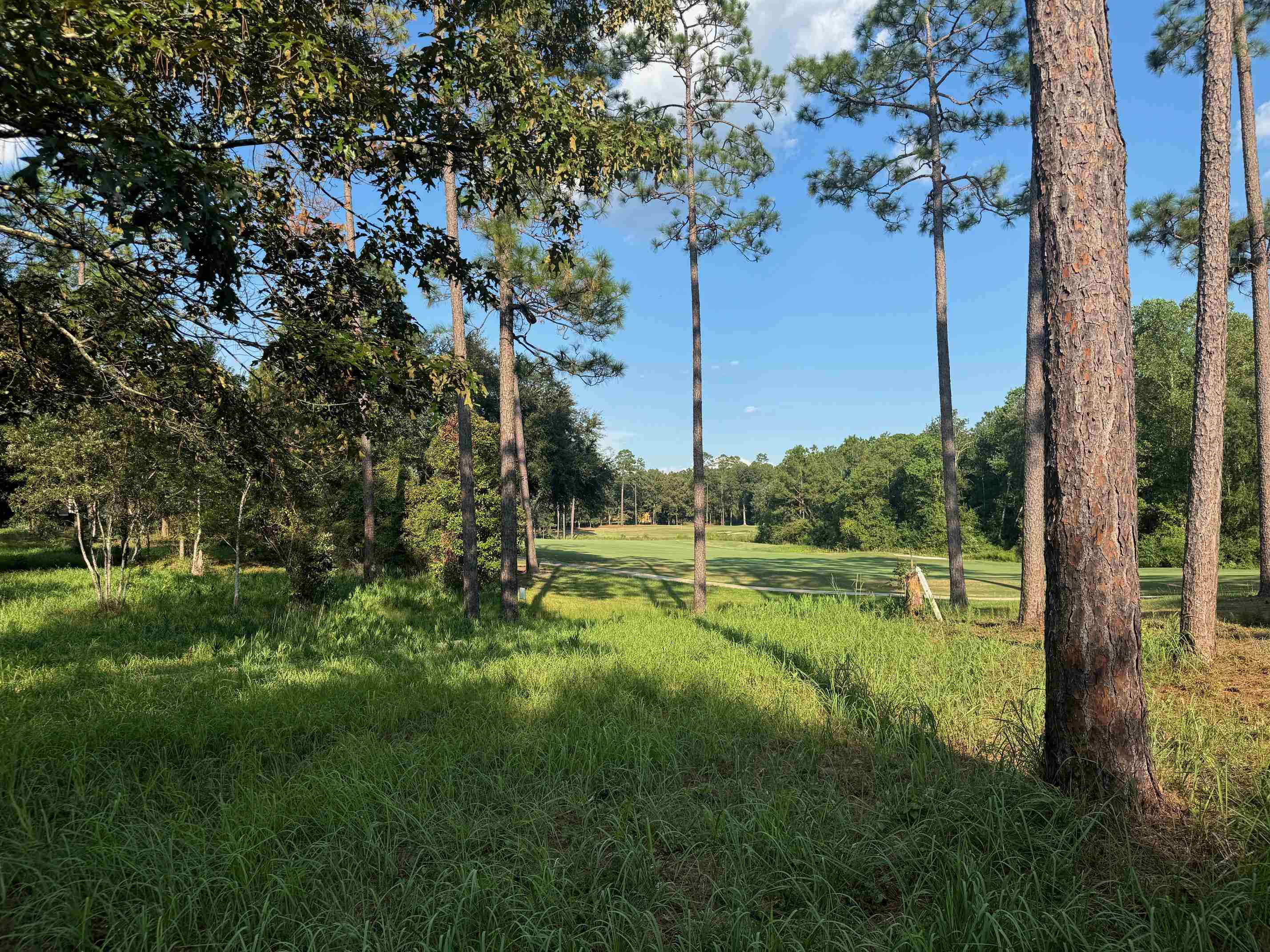 10 Muirfield Court Loxley, AL 36551 - Photo 8 of 8 View