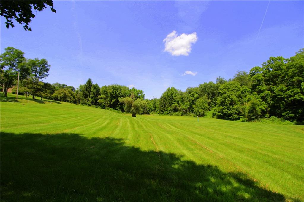 163 Sugar Run Road Eighty Four, PA 15330 - Photo 22 of 25 Front yard.
