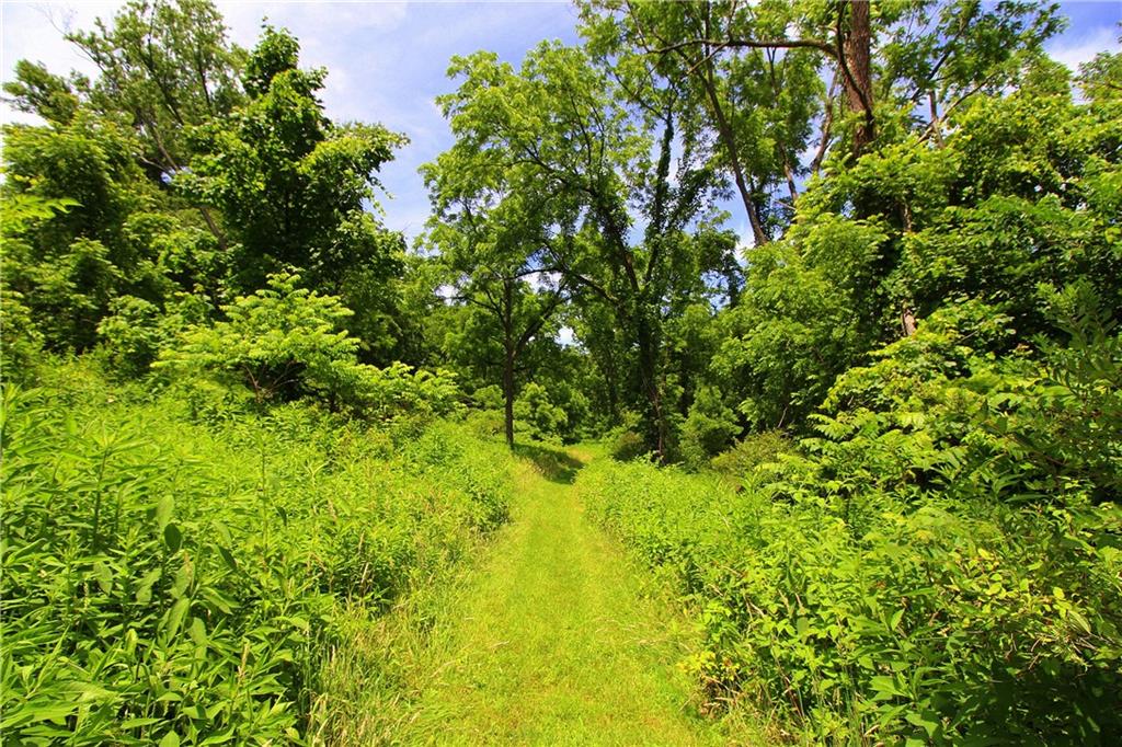 163 Sugar Run Road Eighty Four, PA 15330 - Photo 23 of 25 Rear yard with path to the walkup tree stand.