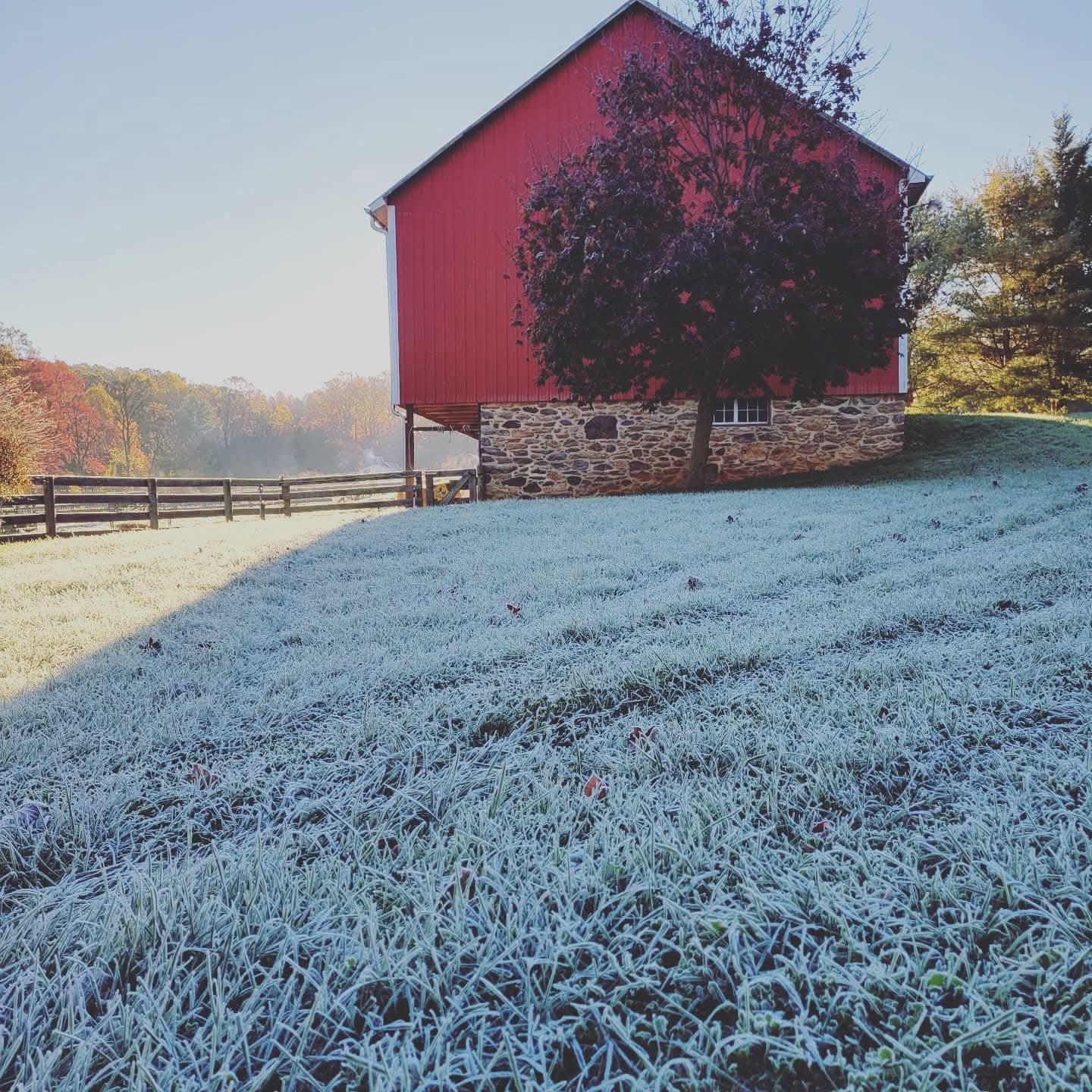 3200 Ferrier Road Manchester, MD 21102 - Photo 2 of 6 Frost-kissed fields by a red barn.