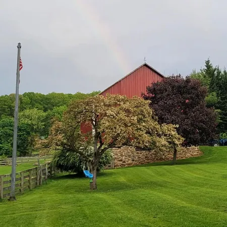 a view of a field with an trees