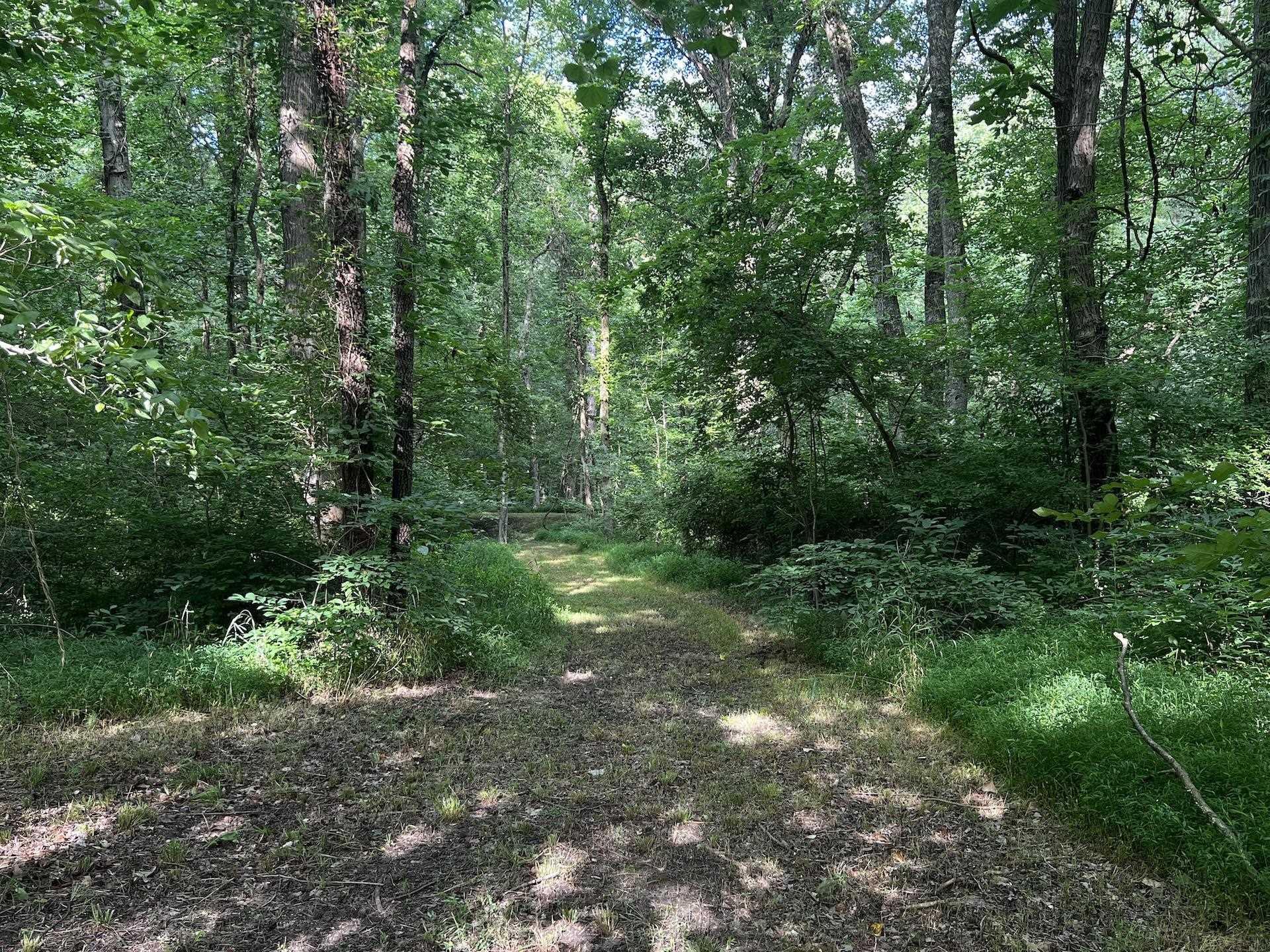 3733 Polk Road Boonville, IN 47601 - Photo 11 of 30