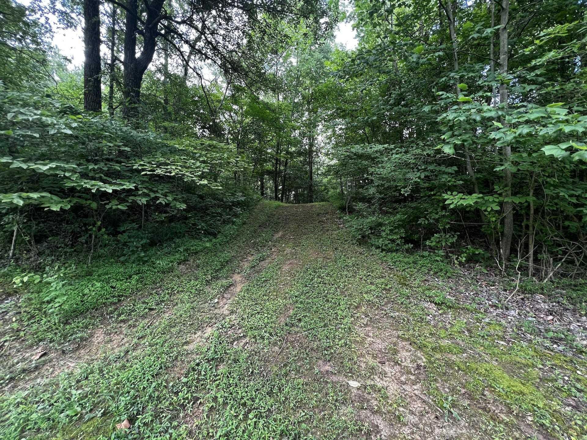 3733 Polk Road Boonville, IN 47601 - Photo 21 of 30