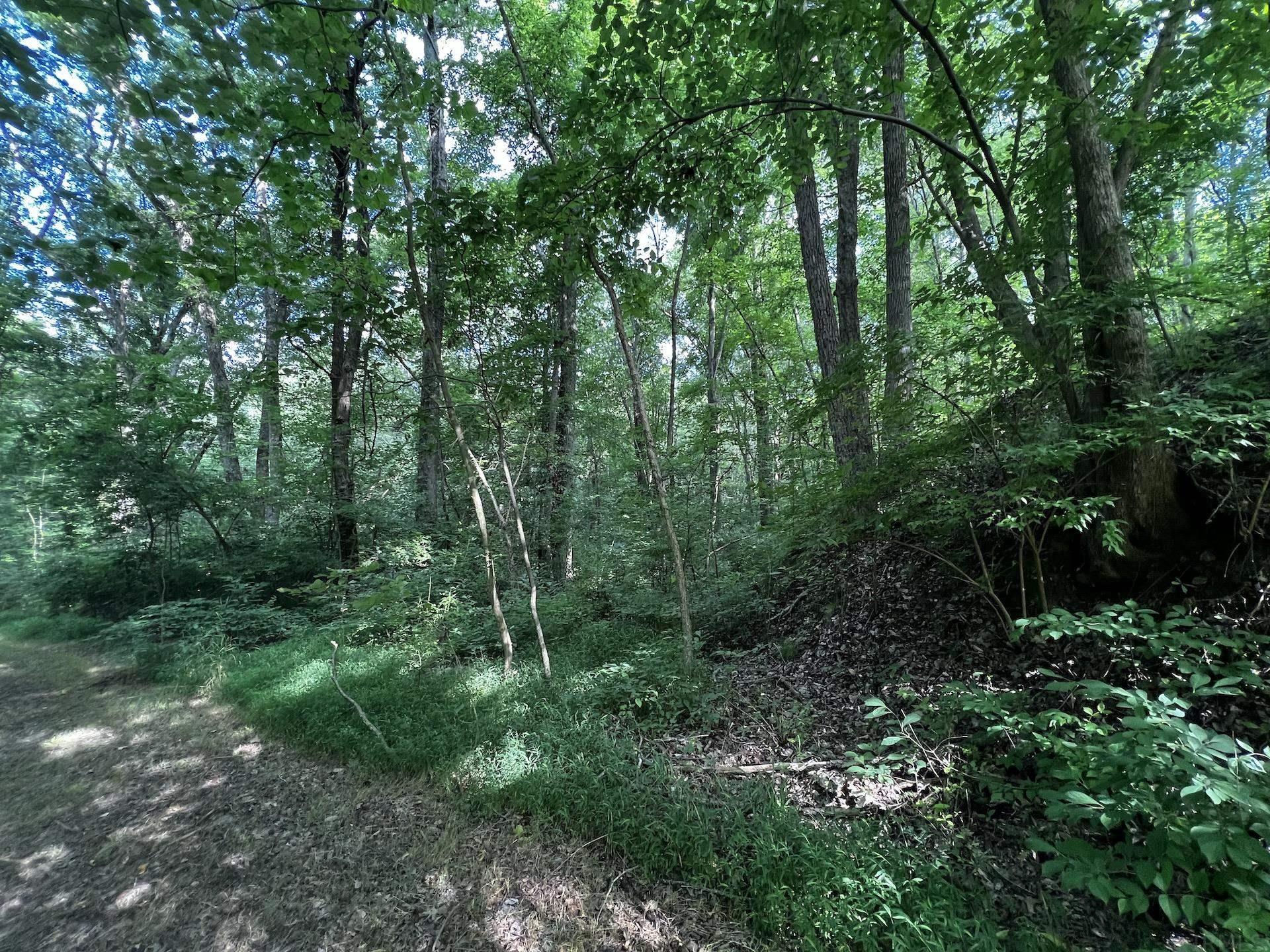 3733 Polk Road Boonville, IN 47601 - Photo 10 of 30