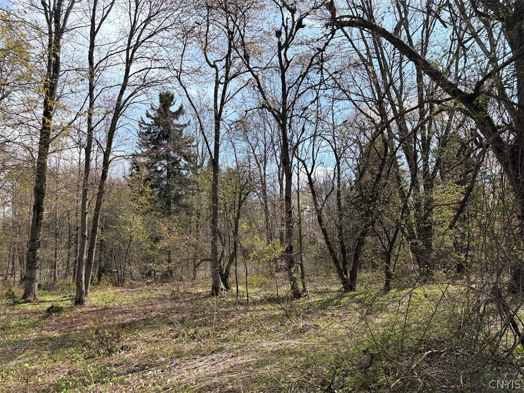 1438 Gregory Road Osceola, NY 13316 - Photo 9 of 11
