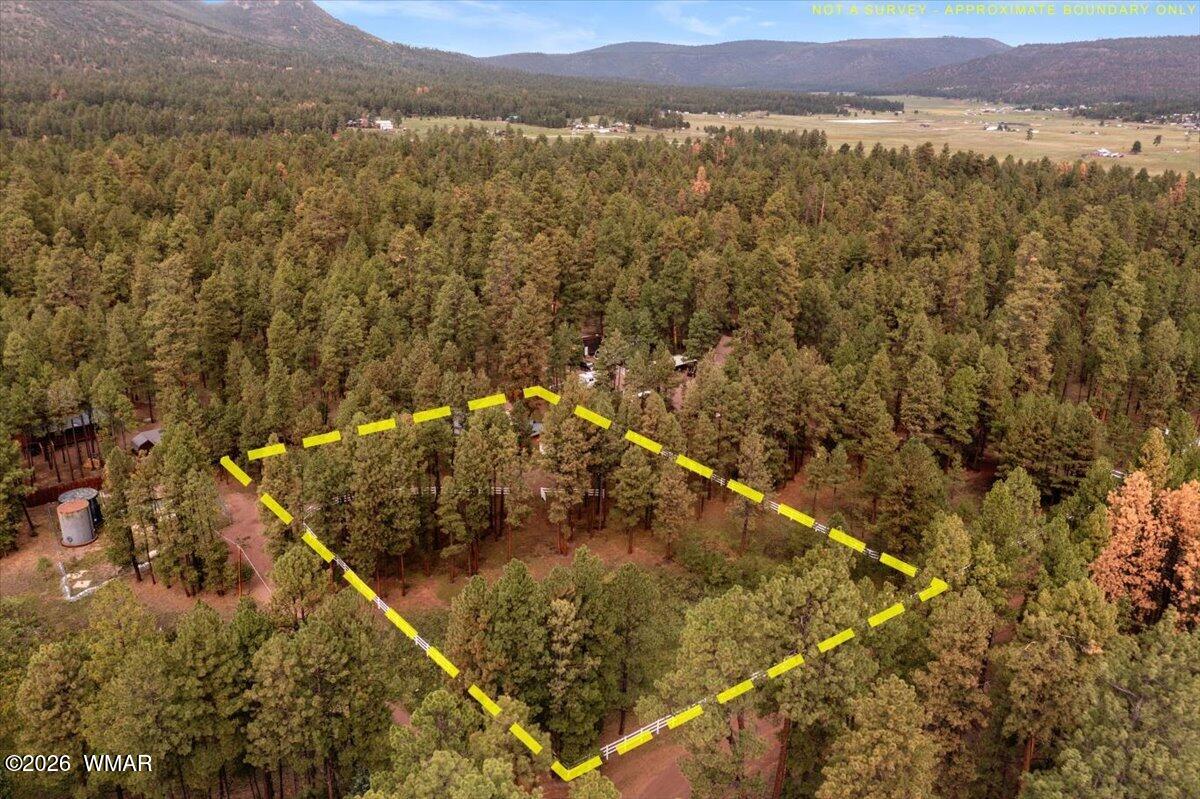 11 Whitetail Road Alpine, AZ 85920 - Photo 40 of 50 Gallery Image 40