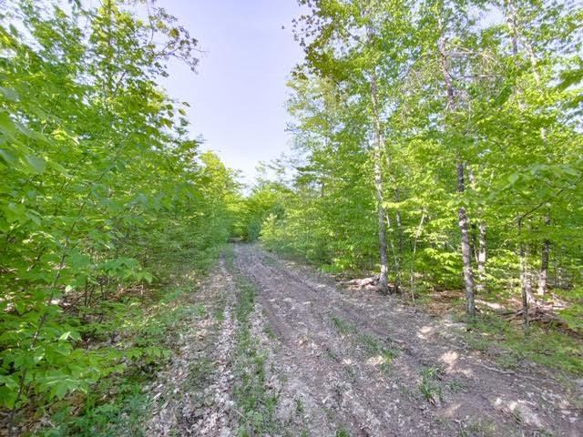 Tbd Tbd Buzzle Road Acton, ME 04001 - Photo 2 of 8 2