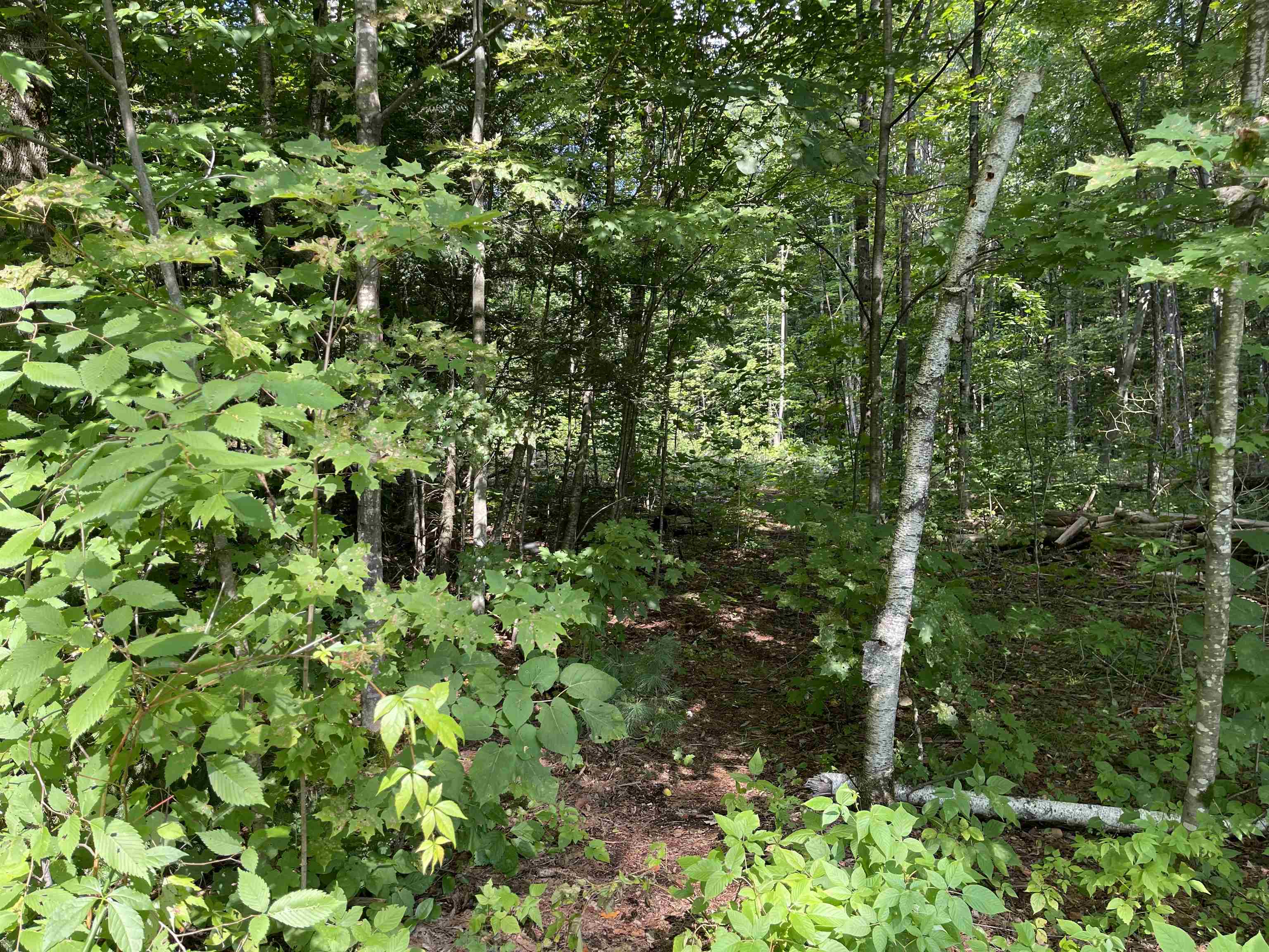 South Hollow Road Warren, VT 05674 - Photo 1 of 7 Gallery Image 1