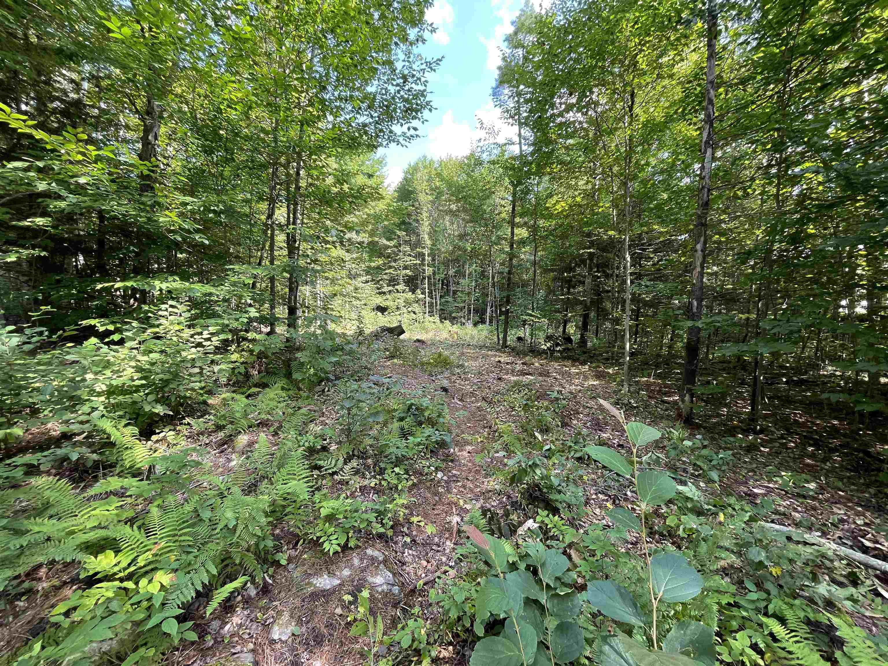 South Hollow Road Warren, VT 05674 - Photo 4 of 7 Gallery Image 4