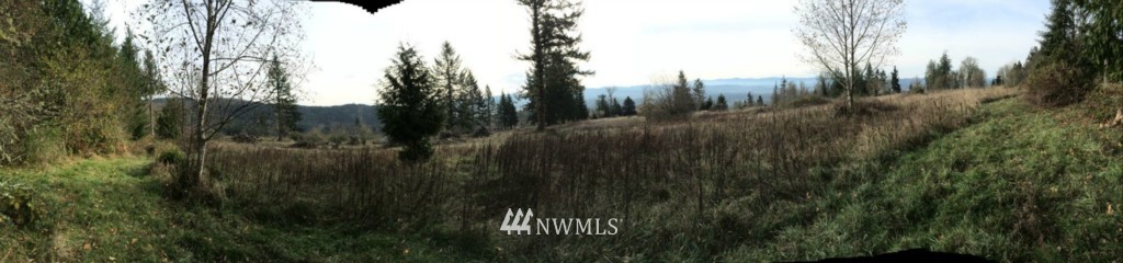 55 Campion Road Oakville, WA 98568 - Photo 17 of 25
