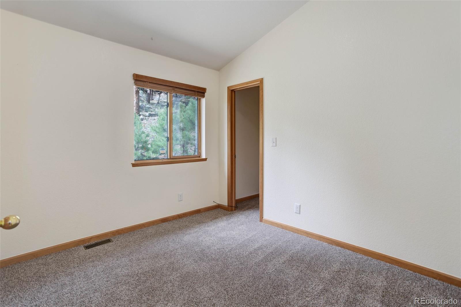 45 Catamount Ridge Road Bailey, CO 80421 - Photo 26 of 39 an empty room with windows