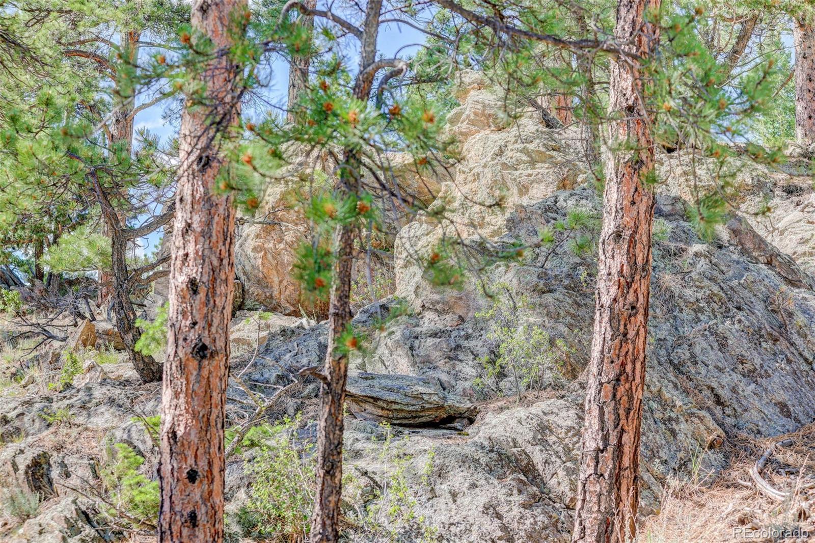 45 Catamount Ridge Road Bailey, CO 80421 - Photo 35 of 39