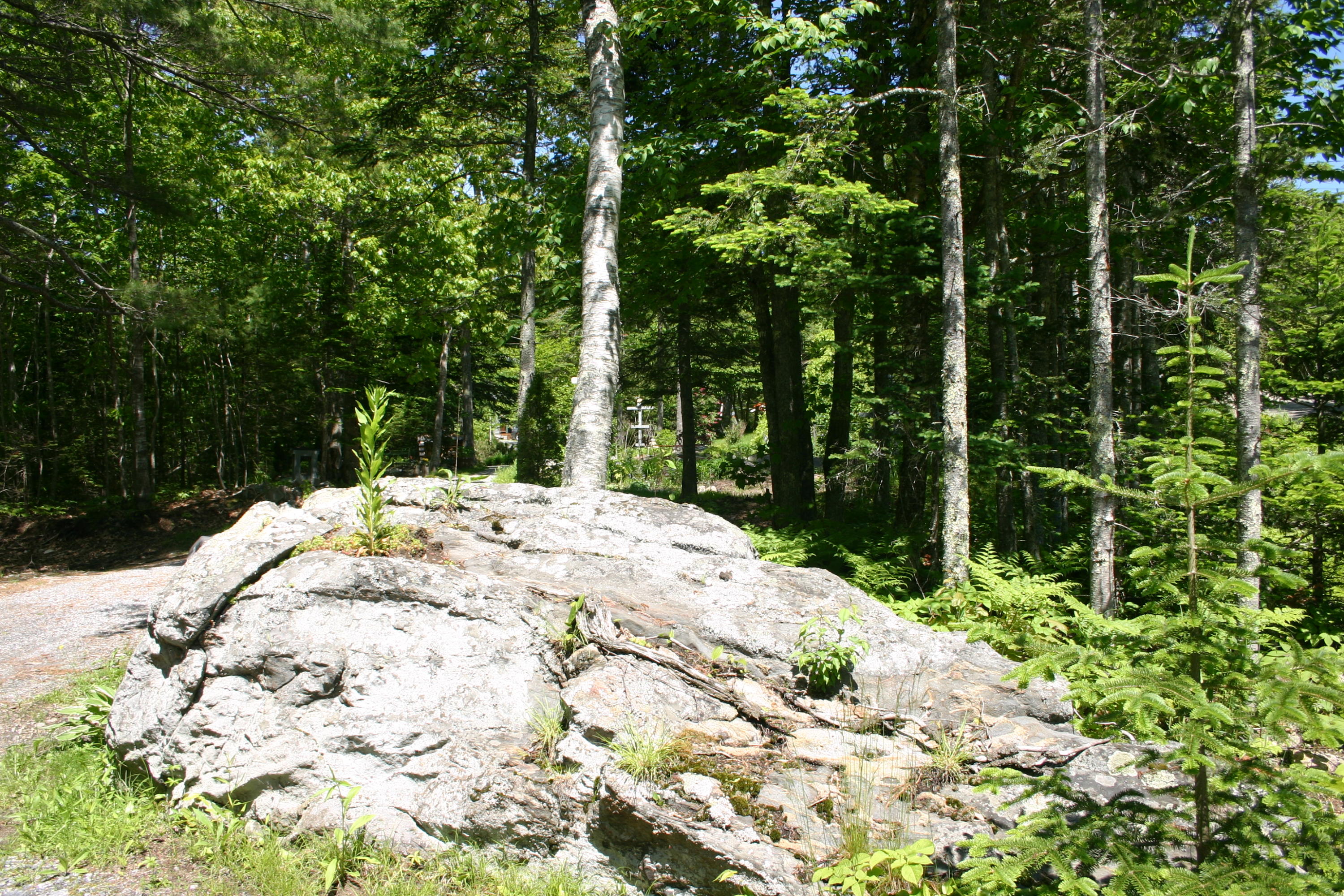 36 Granite Hill Road Pemaquid, ME 04558 - Photo 103 of 134 IMG_0450