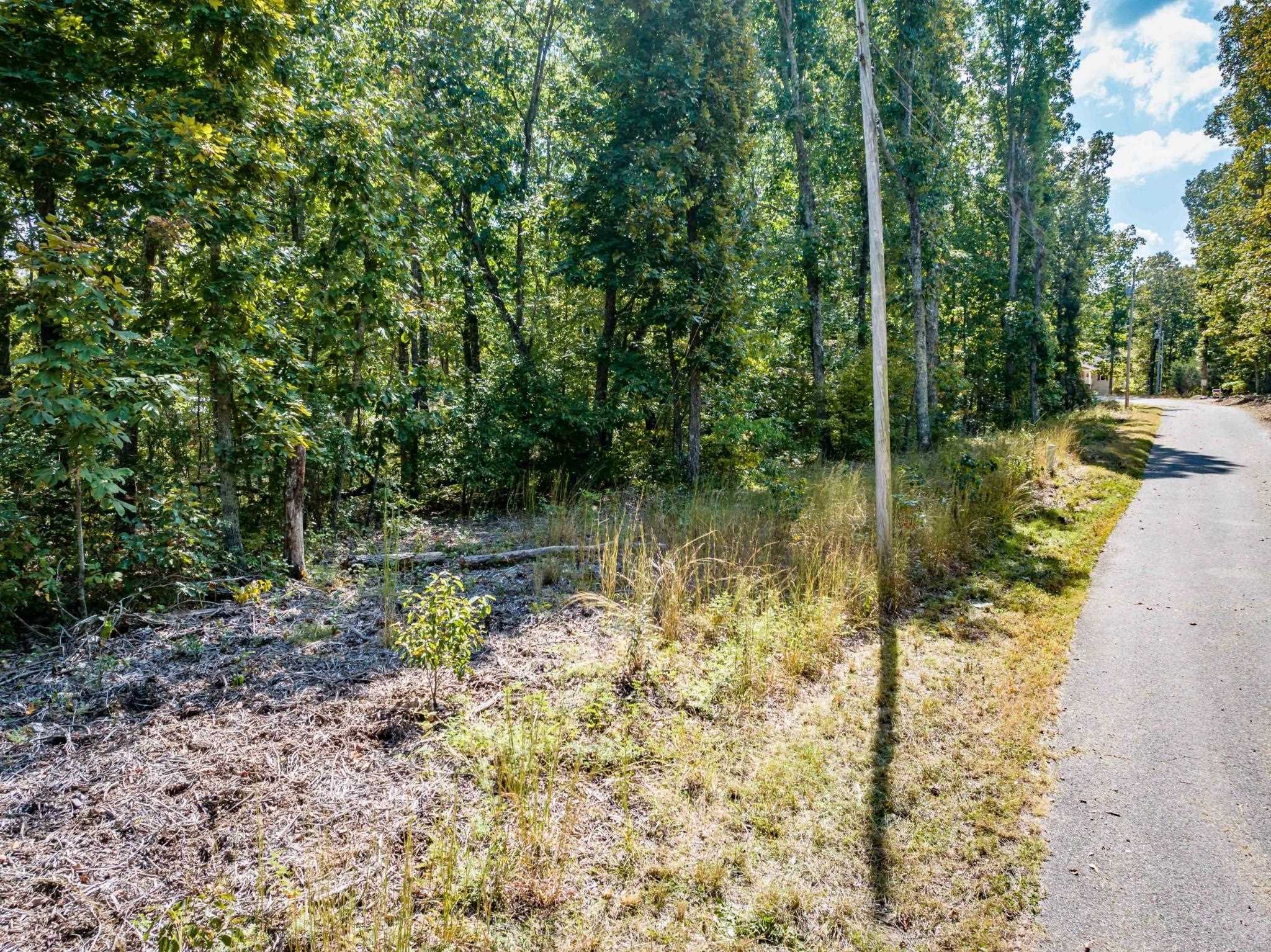 Lot 14-16 Ridgeway Drive Sugar Tree, TN 38380 - Photo 7 of 19 View of street