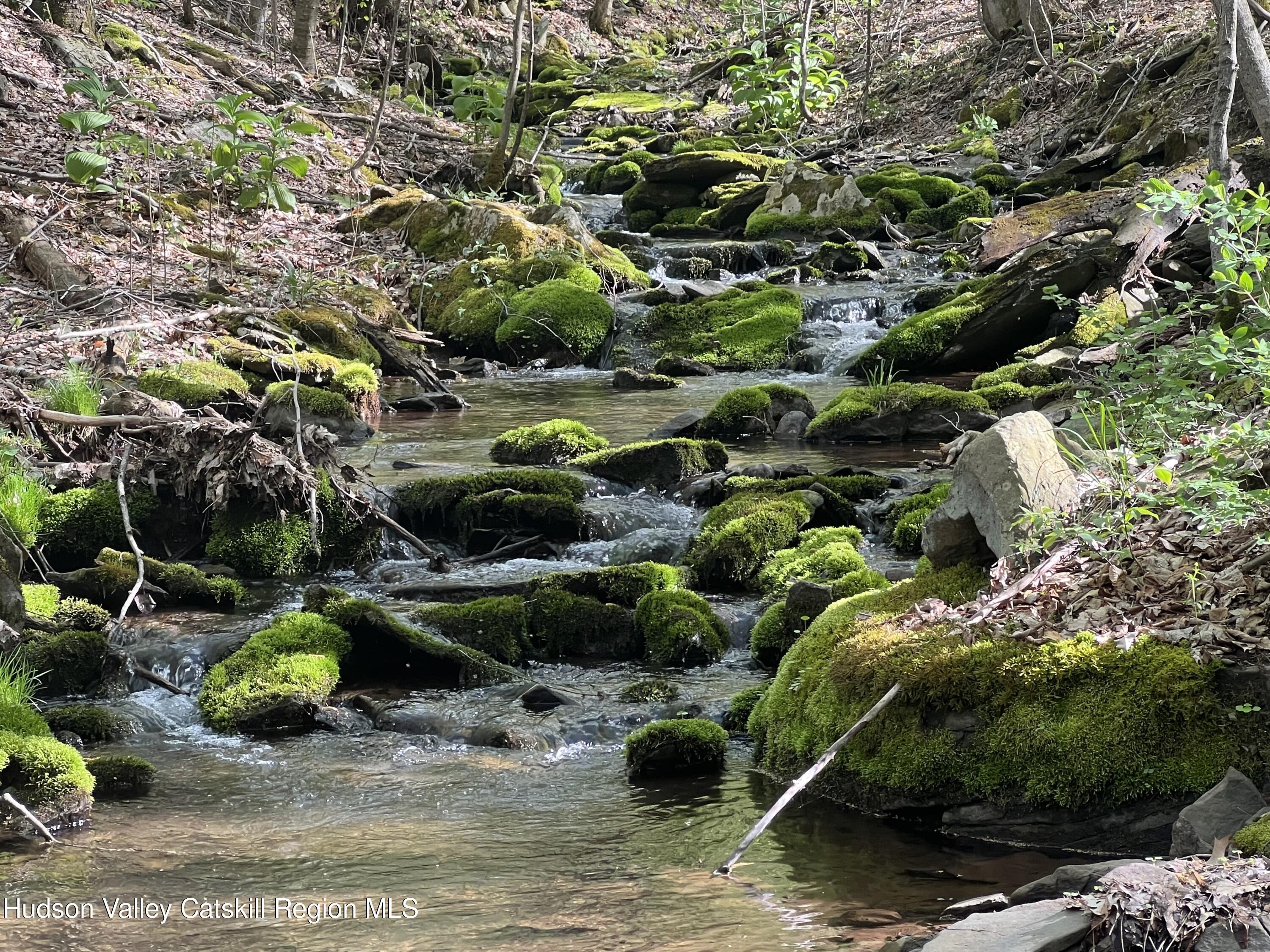 164 Ray Cottone Road Roxbury, NY 12474 - Photo 12 of 37 IMG_4482