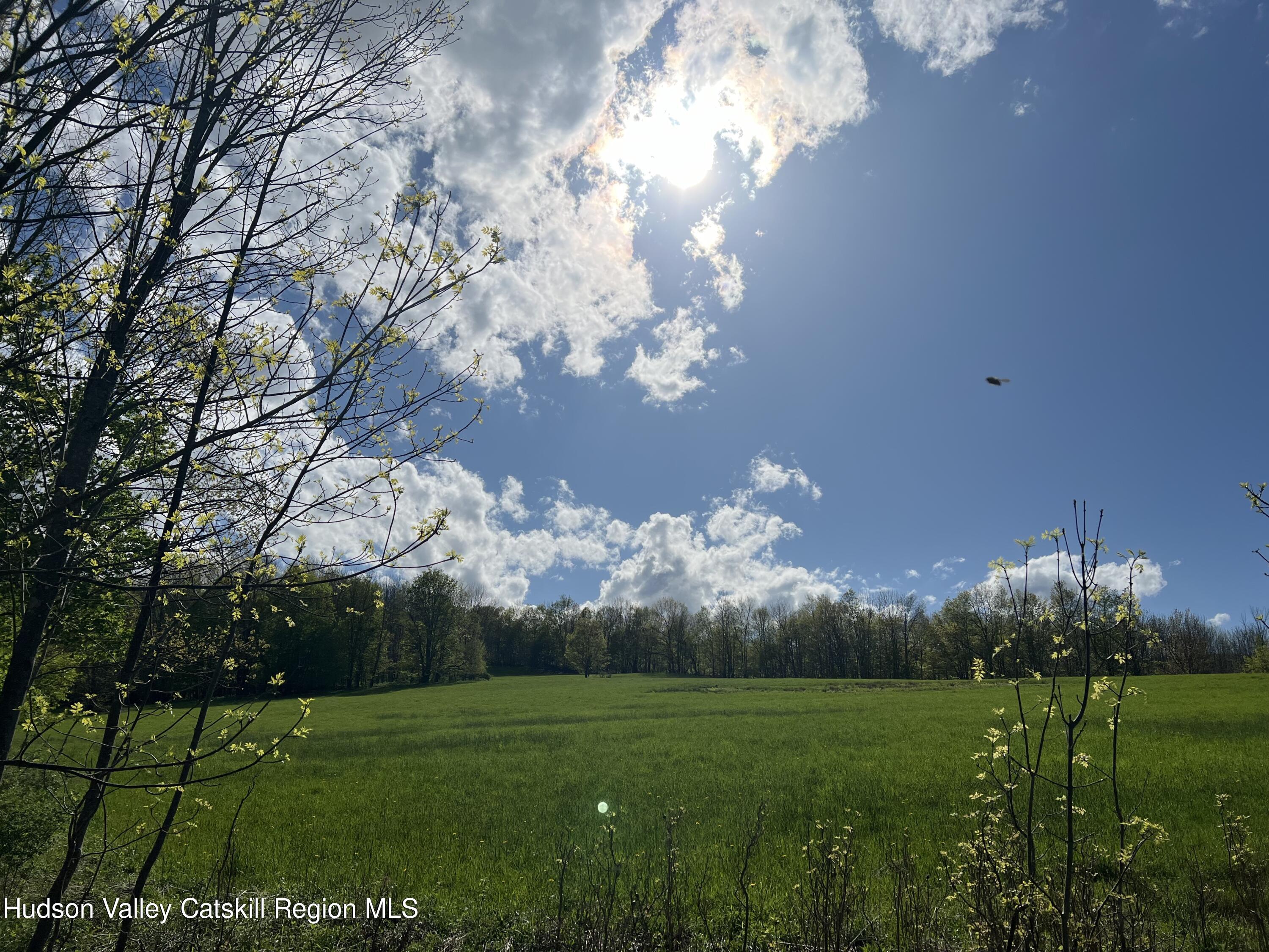 164 Ray Cottone Road Roxbury, NY 12474 - Photo 13 of 37 a view of a golf course with a garden