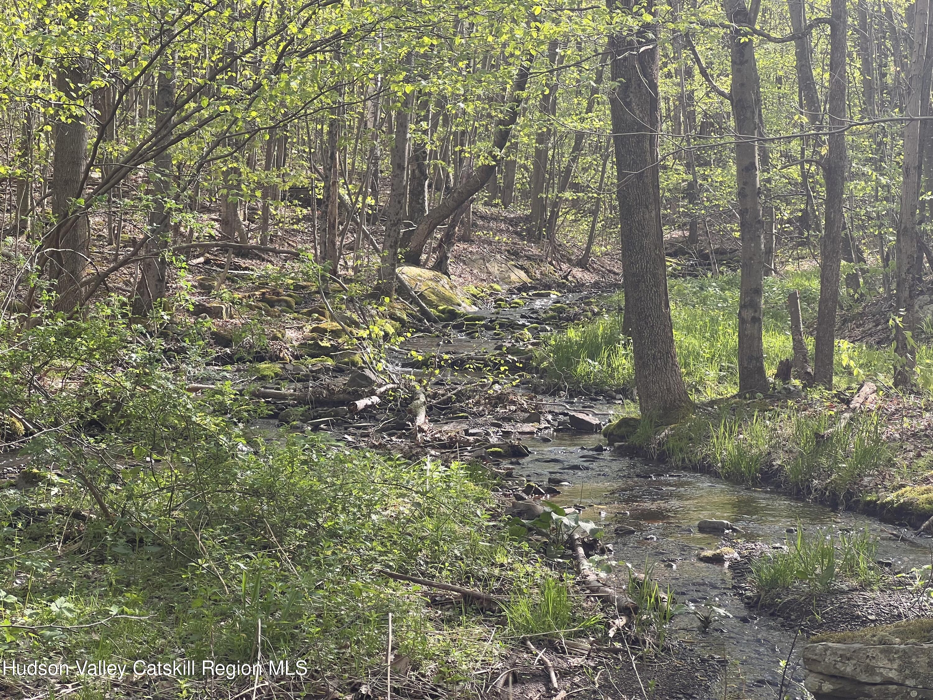 164 Ray Cottone Road Roxbury, NY 12474 - Photo 14 of 37 a backyard of a house with lots of green space