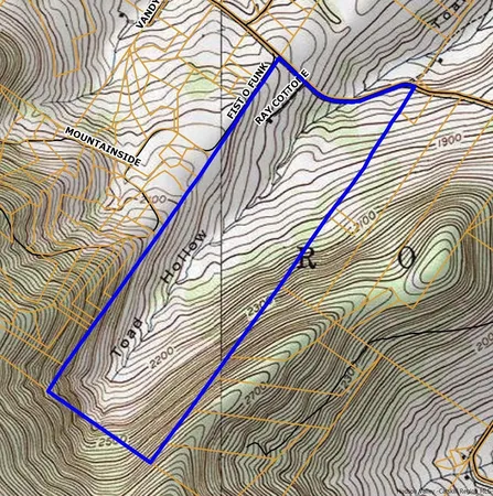 a view of a pathway with a yard