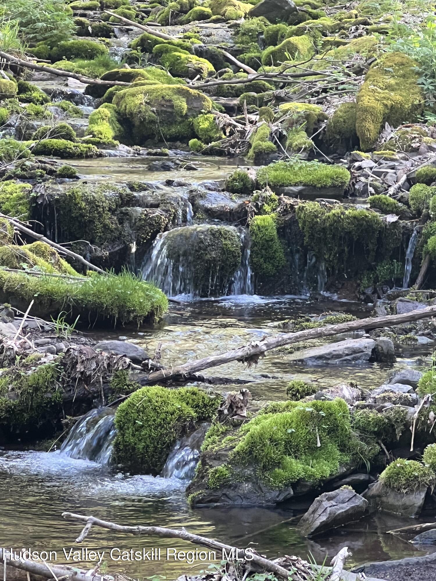 164 Ray Cottone Road Roxbury, NY 12474 - Photo 16 of 37 a view of a water park