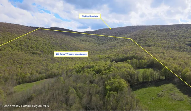 a view of lake with mountain