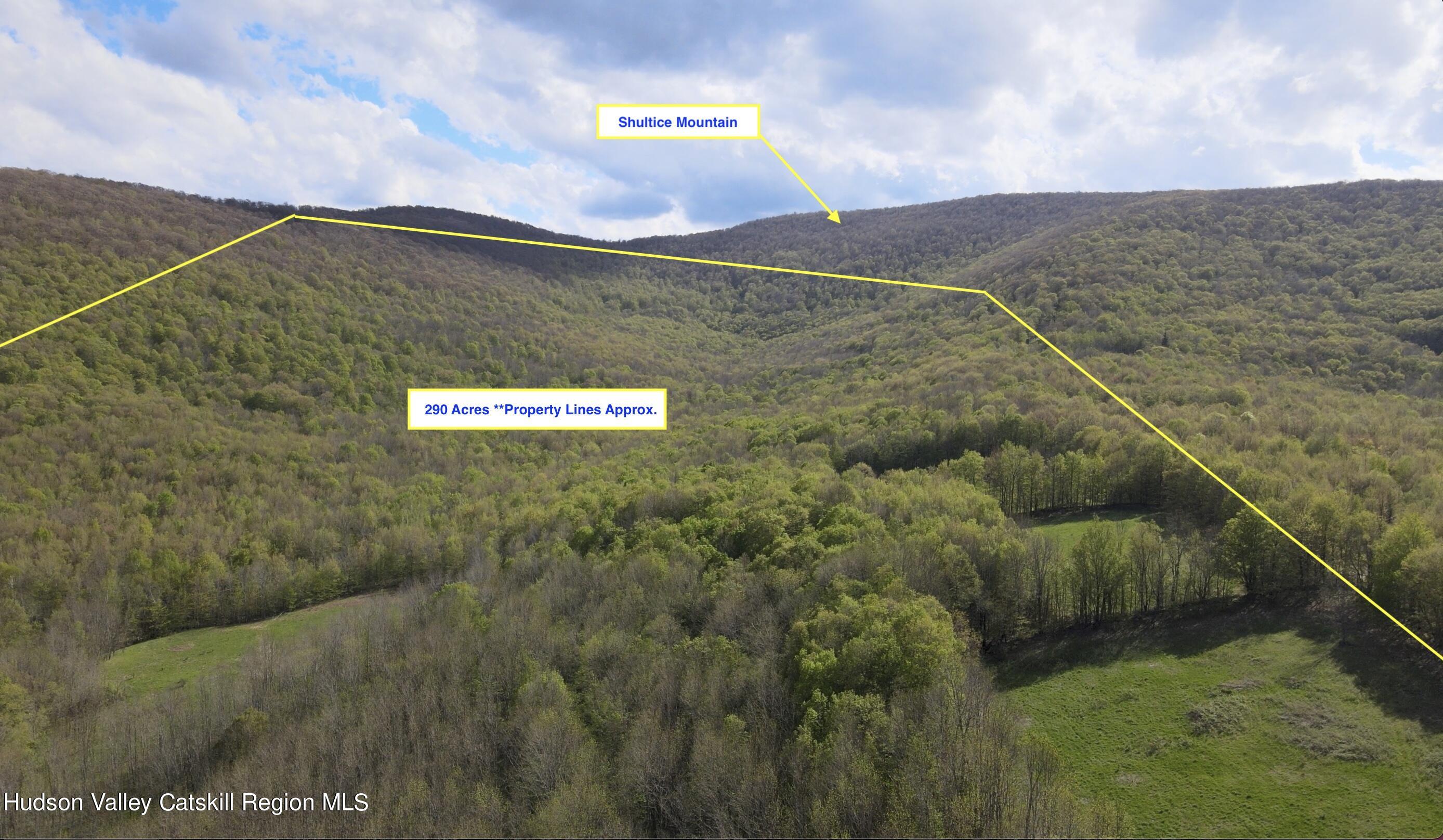 164 Ray Cottone Road Roxbury, NY 12474 - Photo 18 of 37 Wide Aerial