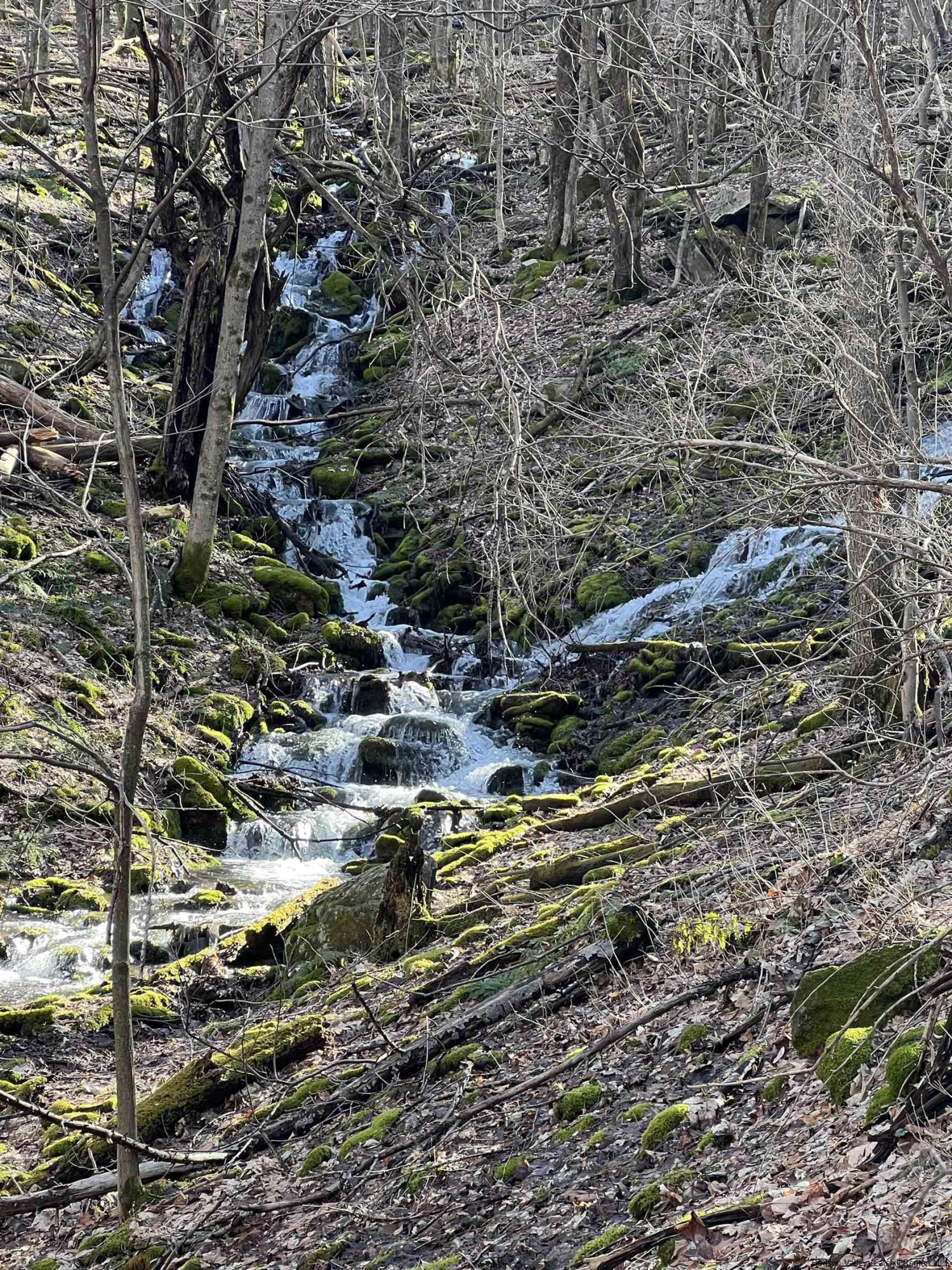 164 Ray Cottone Road Roxbury, NY 12474 - Photo 19 of 37 Photo 3