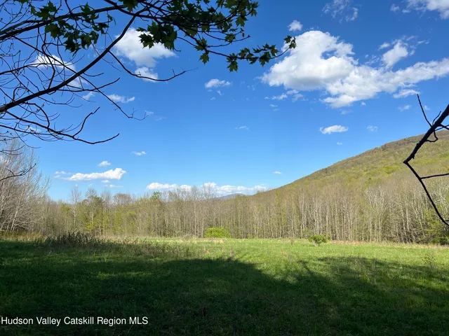 a view of a mountain from a yard