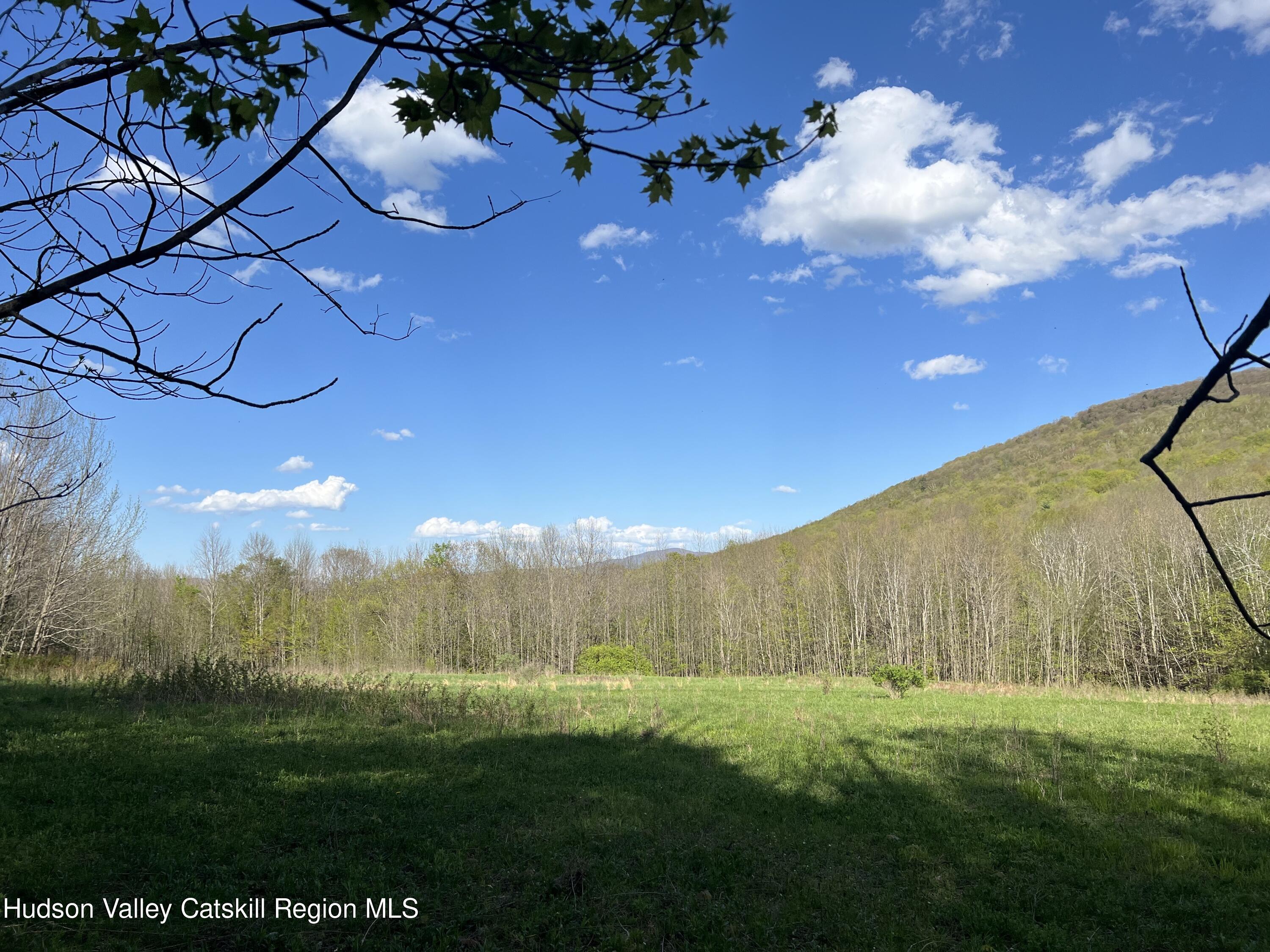 164 Ray Cottone Road Roxbury, NY 12474 - Photo 20 of 37 a view of an outdoor space and a yard