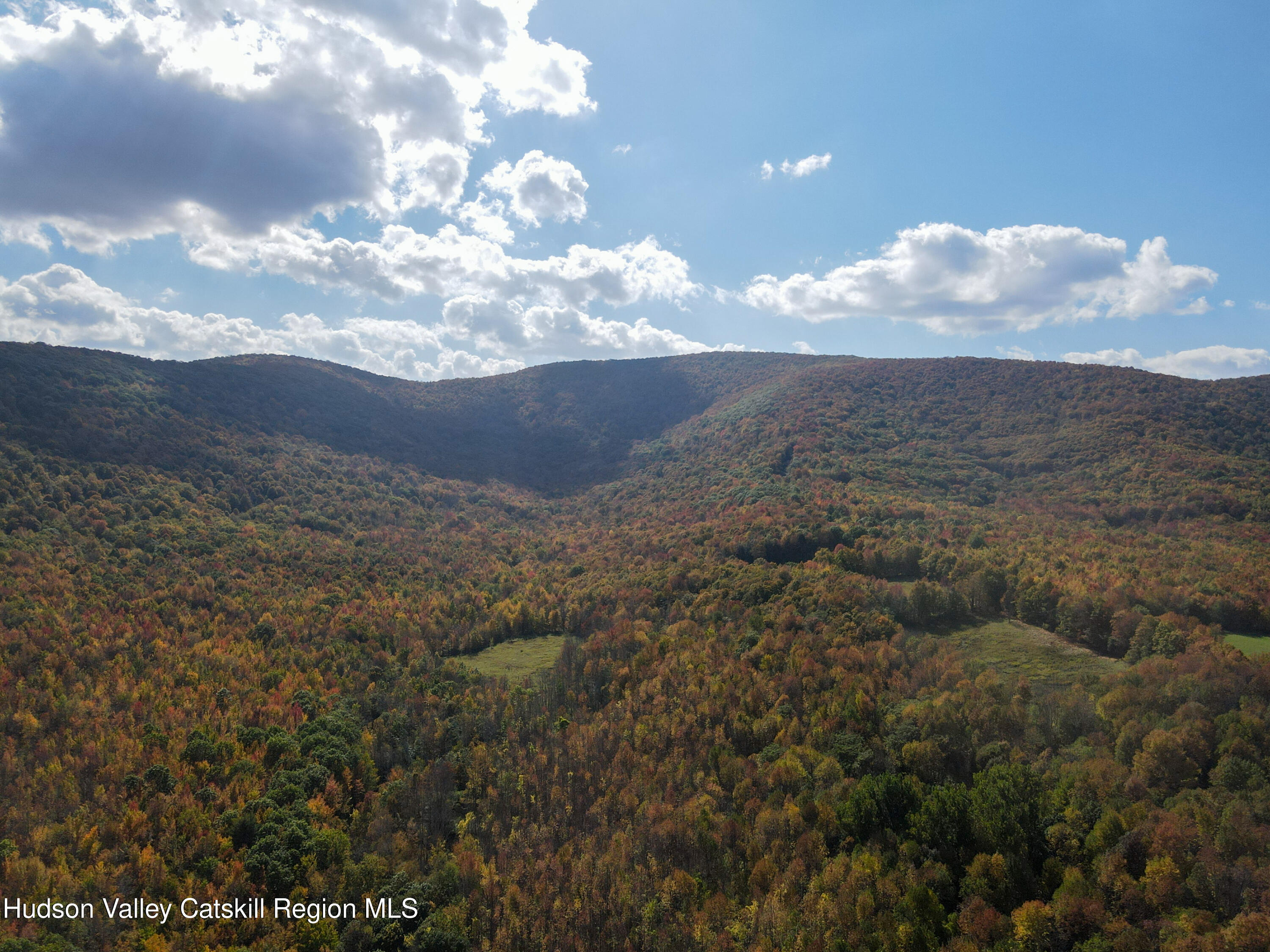 164 Ray Cottone Road Roxbury, NY 12474 - Photo 2 of 37 a view of mountains and mountain in the distance in a yard