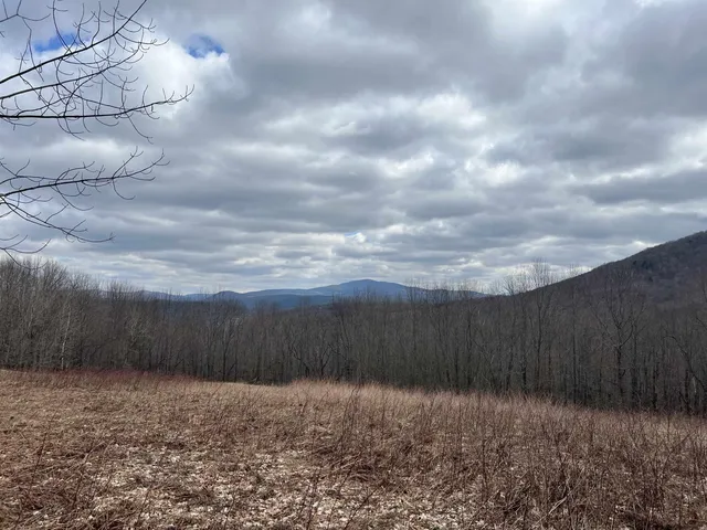 $999,000 | 164 Ray Cottone Road, Roxbury, NY 12474