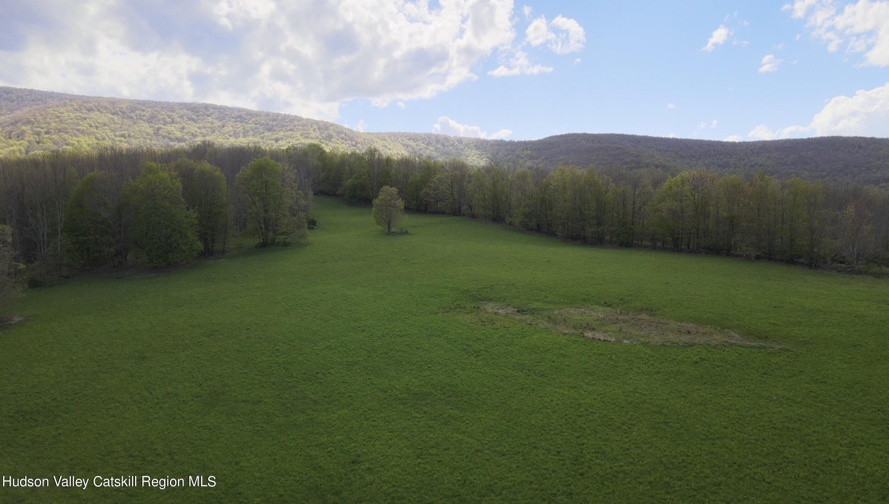 164 Ray Cottone Road Roxbury, NY 12474 - Photo 23 of 37 a view of a mountain
