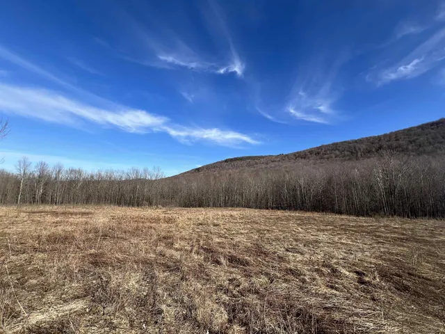 $999,000 | 164 Ray Cottone Road, Roxbury, NY 12474