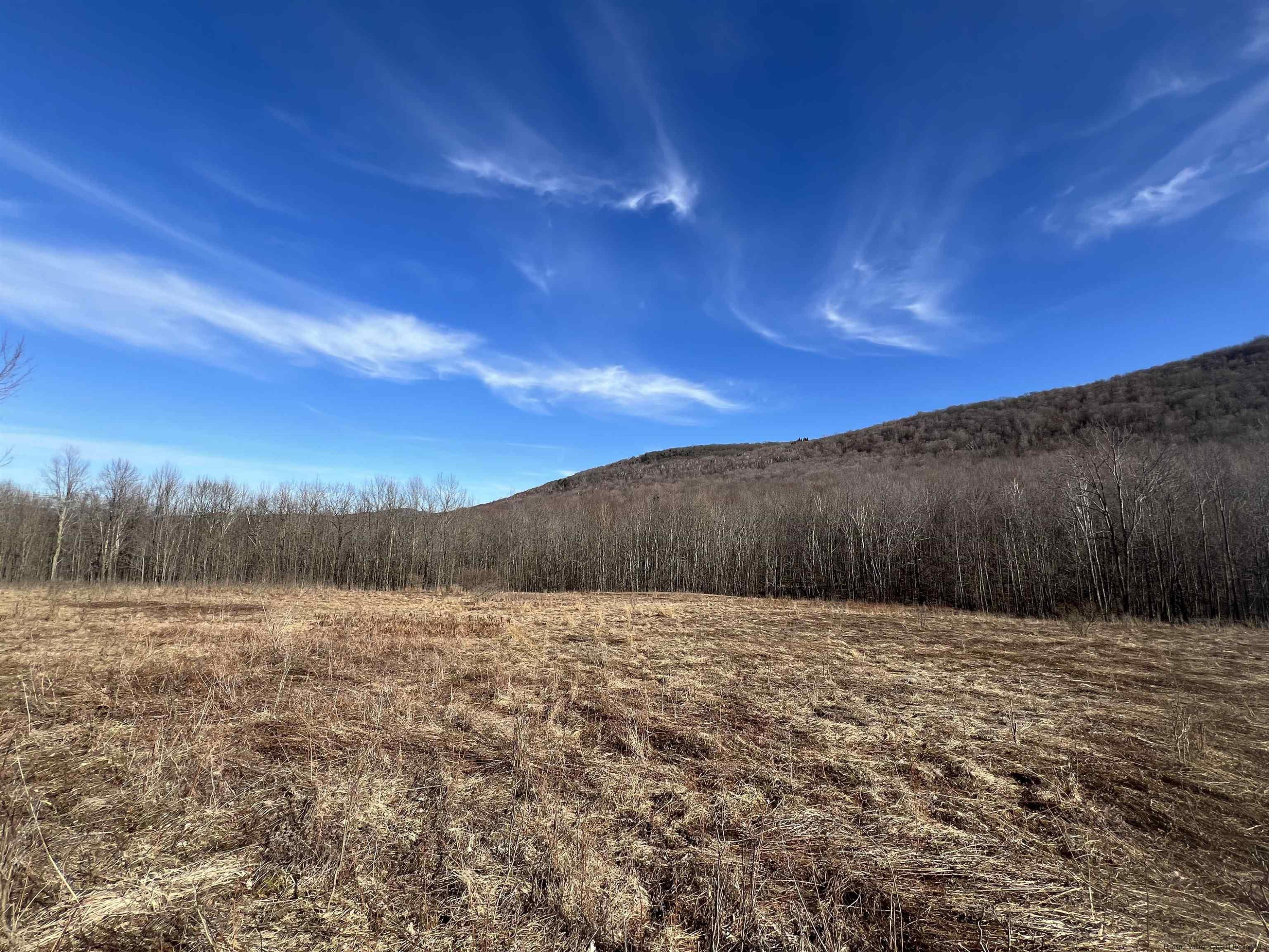 164 Ray Cottone Road Roxbury, NY 12474 - Photo 24 of 37 Photo 6