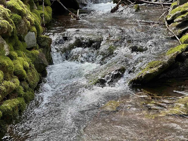 $999,000 | 164 Ray Cottone Road, Roxbury, NY 12474