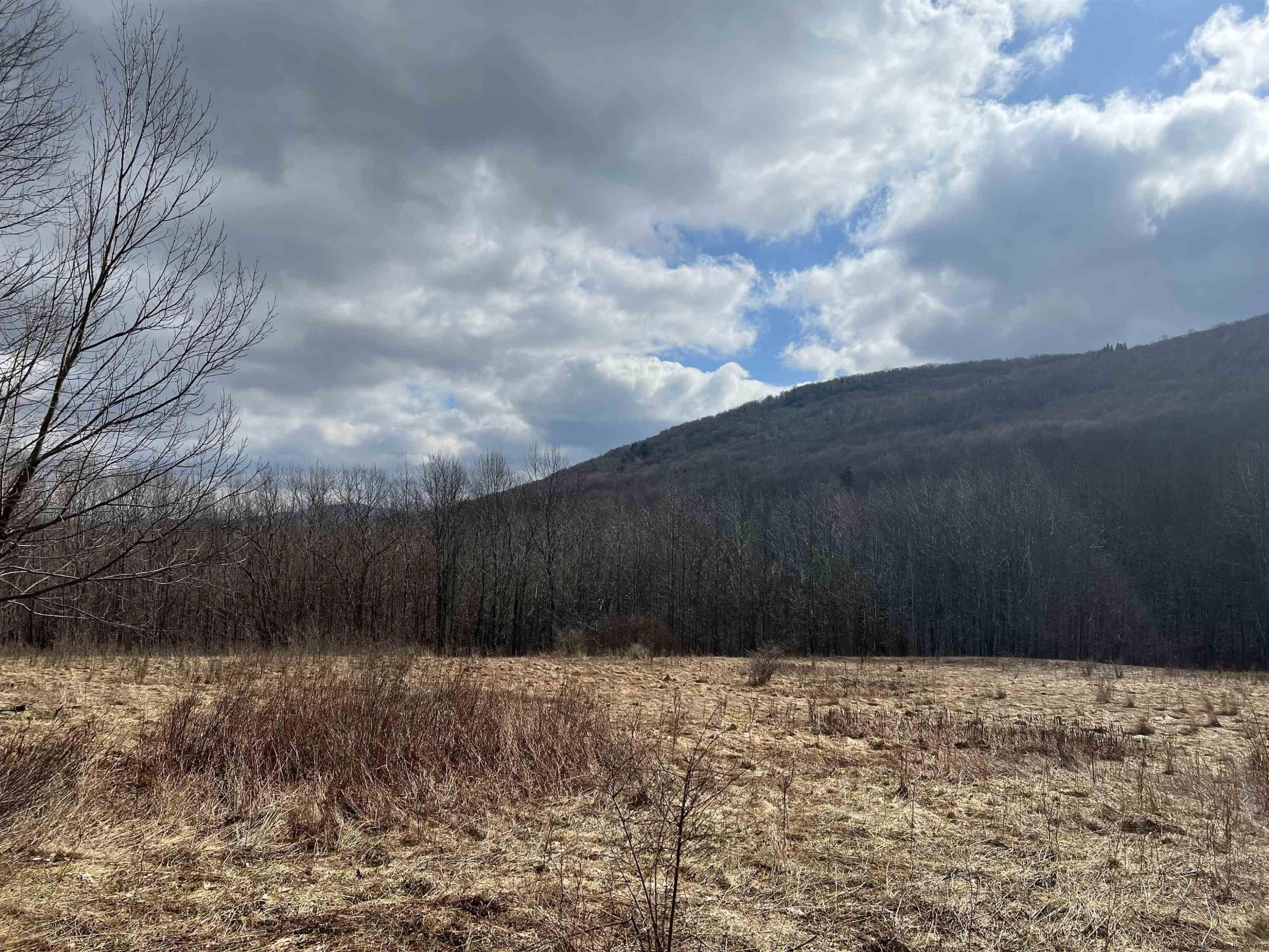 164 Ray Cottone Road Roxbury, NY 12474 - Photo 26 of 37 Photo 12