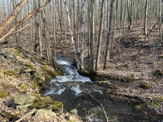 $999,000 | 164 Ray Cottone Road, Roxbury, NY 12474