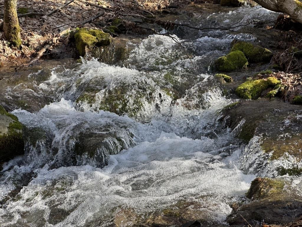 164 Ray Cottone Road Roxbury, NY 12474 - Photo 29 of 37 Photo 20