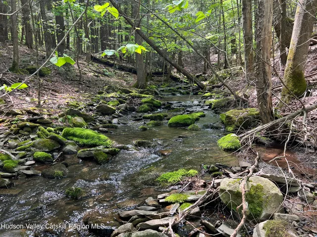 a view of a big yard