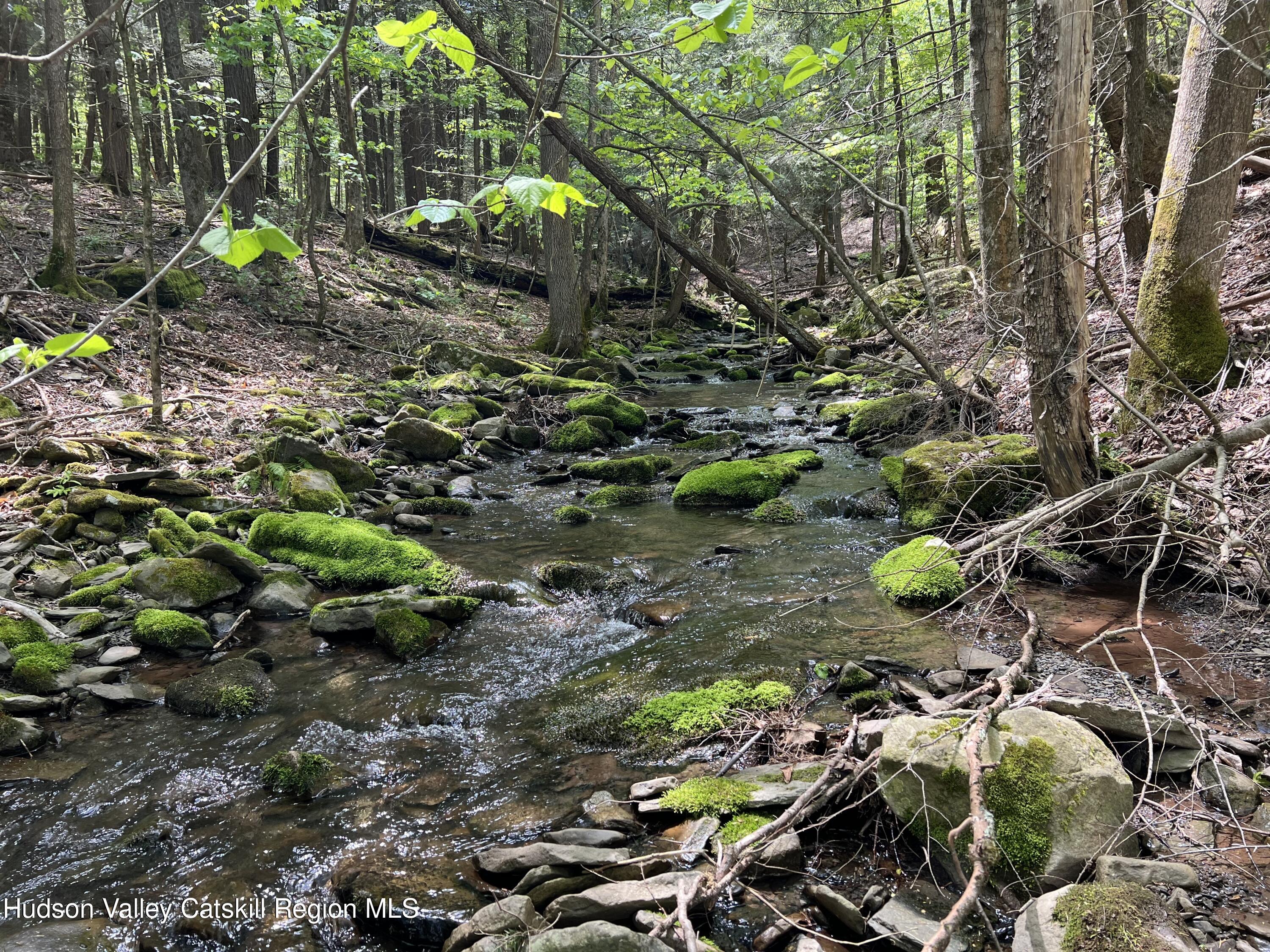 164 Ray Cottone Road Roxbury, NY 12474 - Photo 3 of 37 a backyard of a house with lots of green space