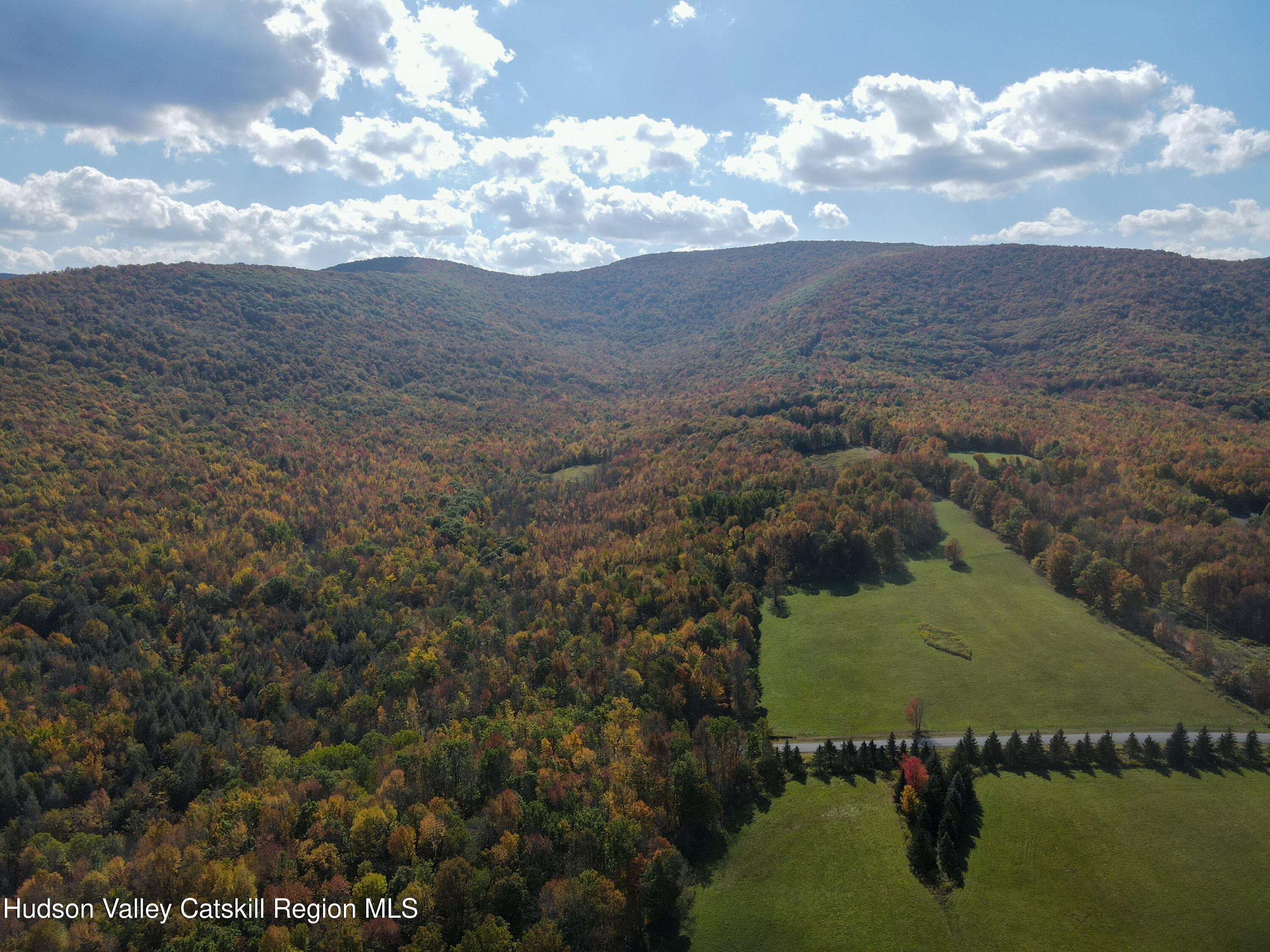 164 Ray Cottone Road Roxbury, NY 12474 - Photo 34 of 37 a view of lake with mountain