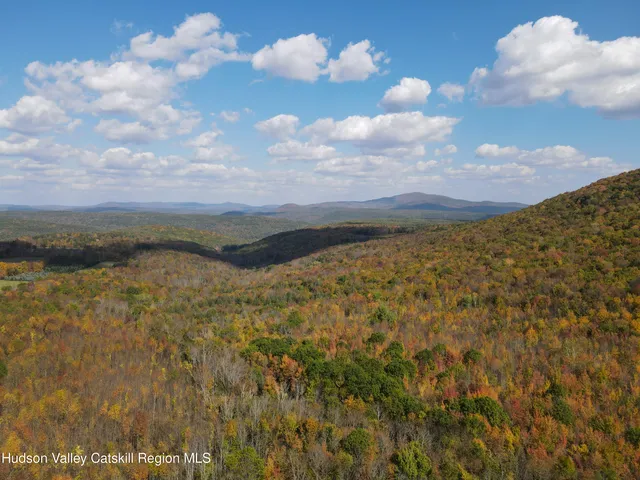 $999,000 | 164 Ray Cottone Road, Roxbury, NY 12474