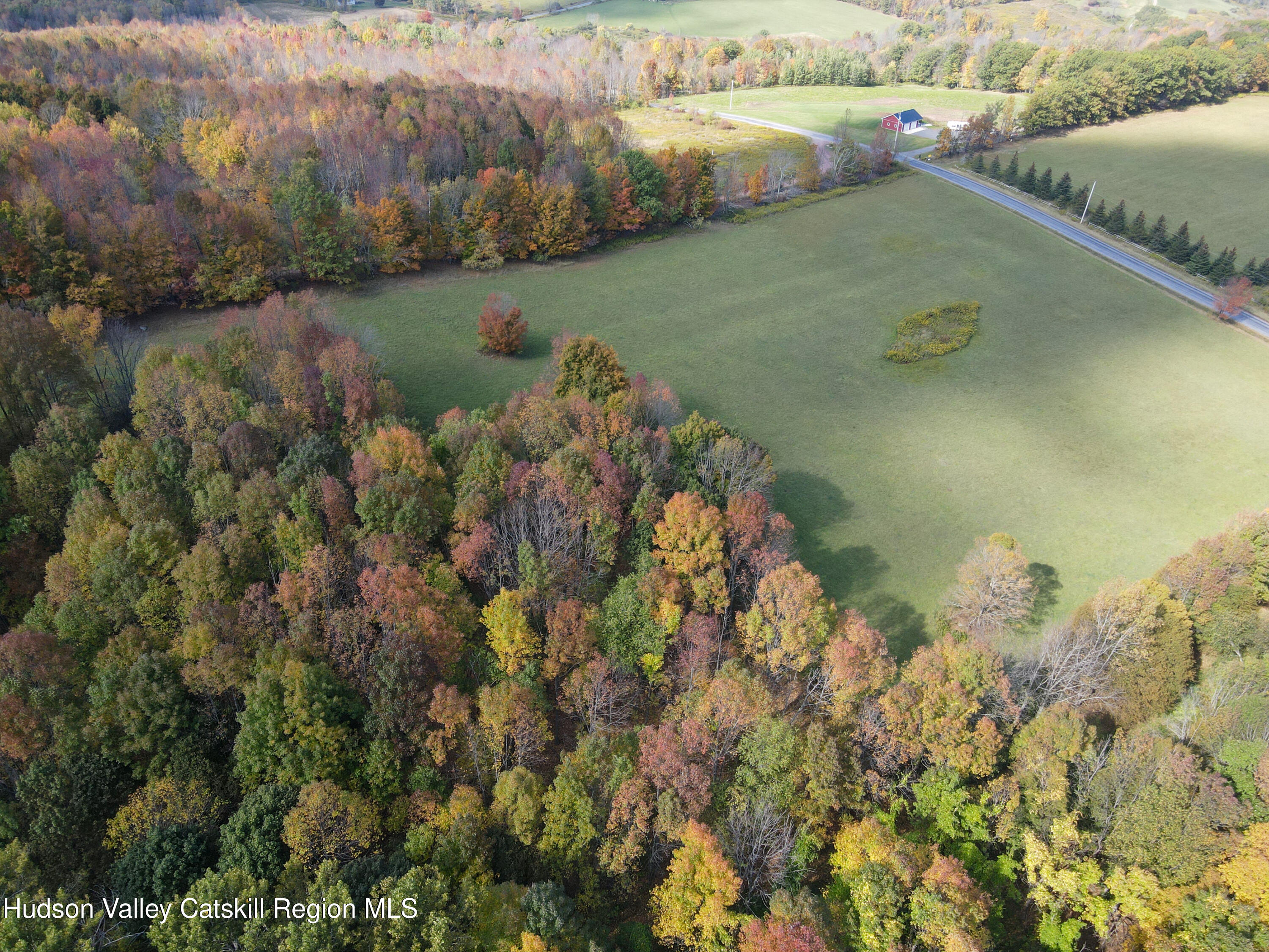 164 Ray Cottone Road Roxbury, NY 12474 - Photo 36 of 37 an aerial view of residential houses with outdoor space