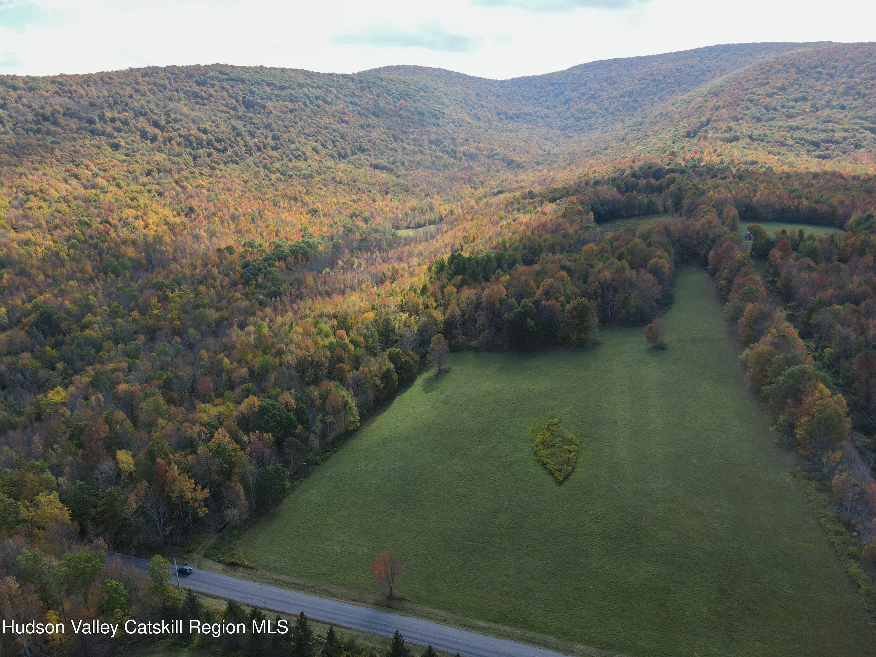 164 Ray Cottone Road Roxbury, NY 12474 - Photo 37 of 37 a view of a mountain from a yard