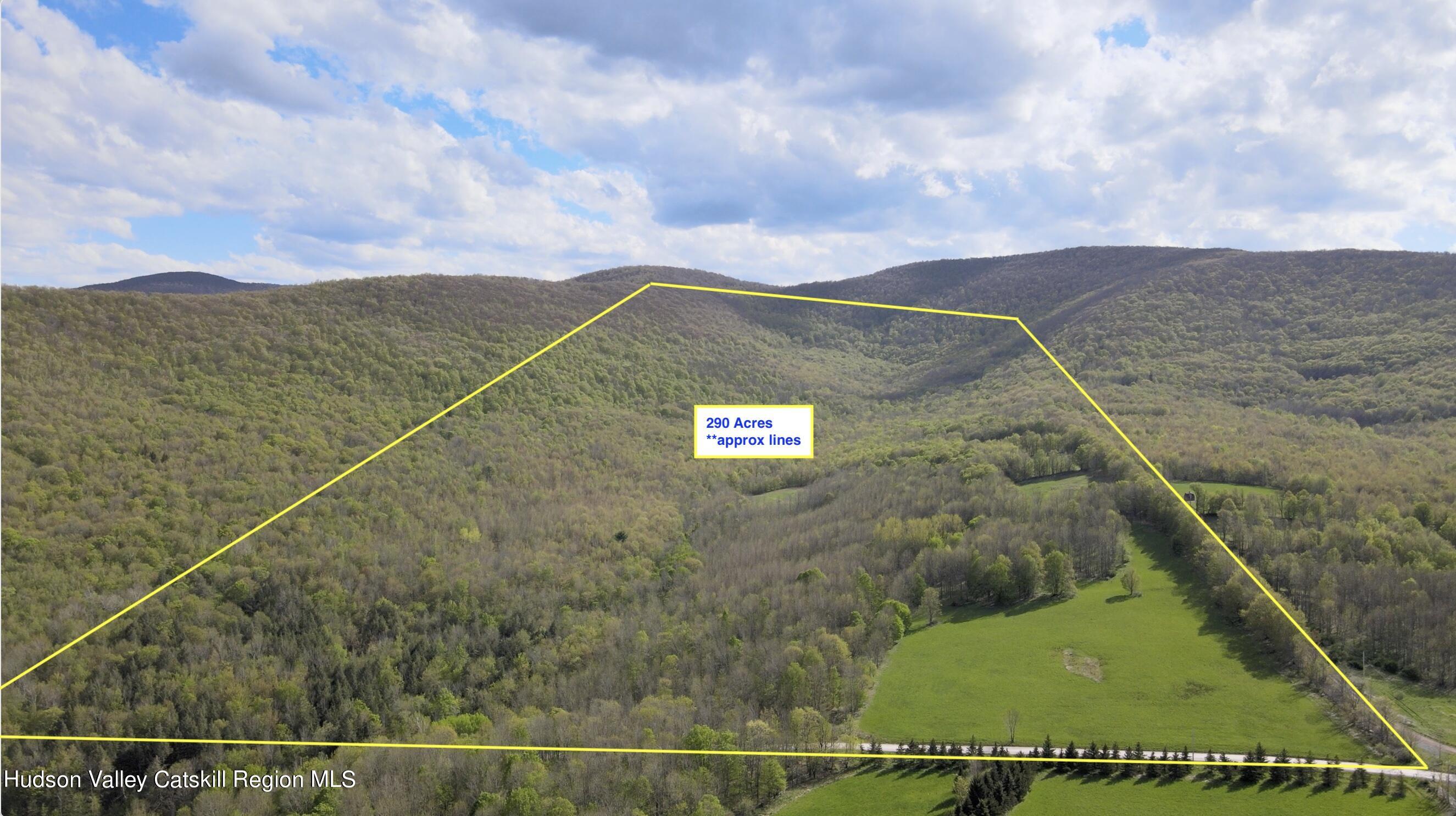 164 Ray Cottone Road Roxbury, NY 12474 - Photo 4 of 37 a view of a big yard