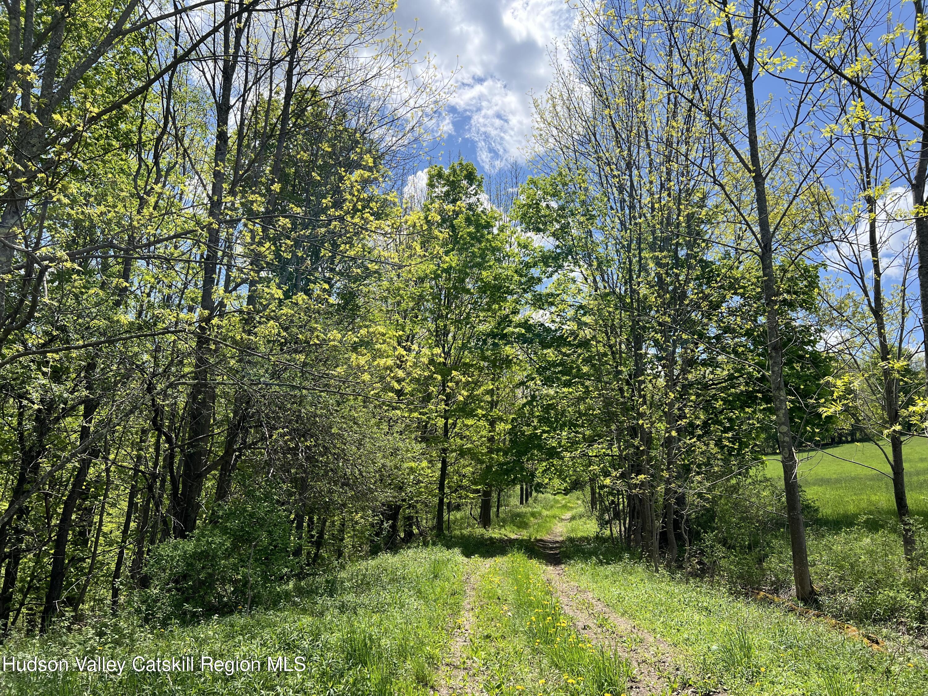 164 Ray Cottone Road Roxbury, NY 12474 - Photo 5 of 37 IMG_4562 2