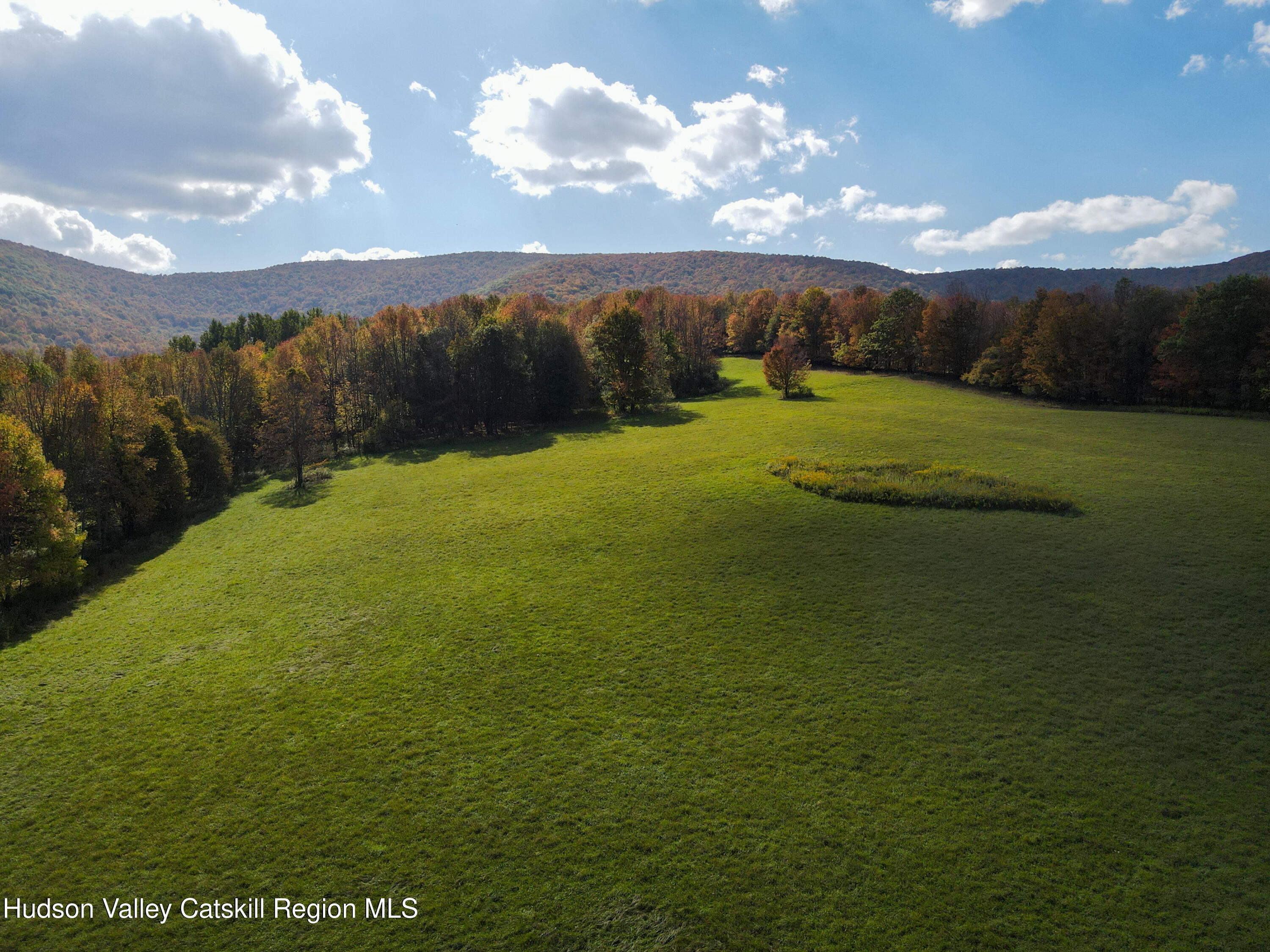 164 Ray Cottone Road Roxbury, NY 12474 - Photo 6 of 37 dji_fly_20250928_142302_56_1759083796334