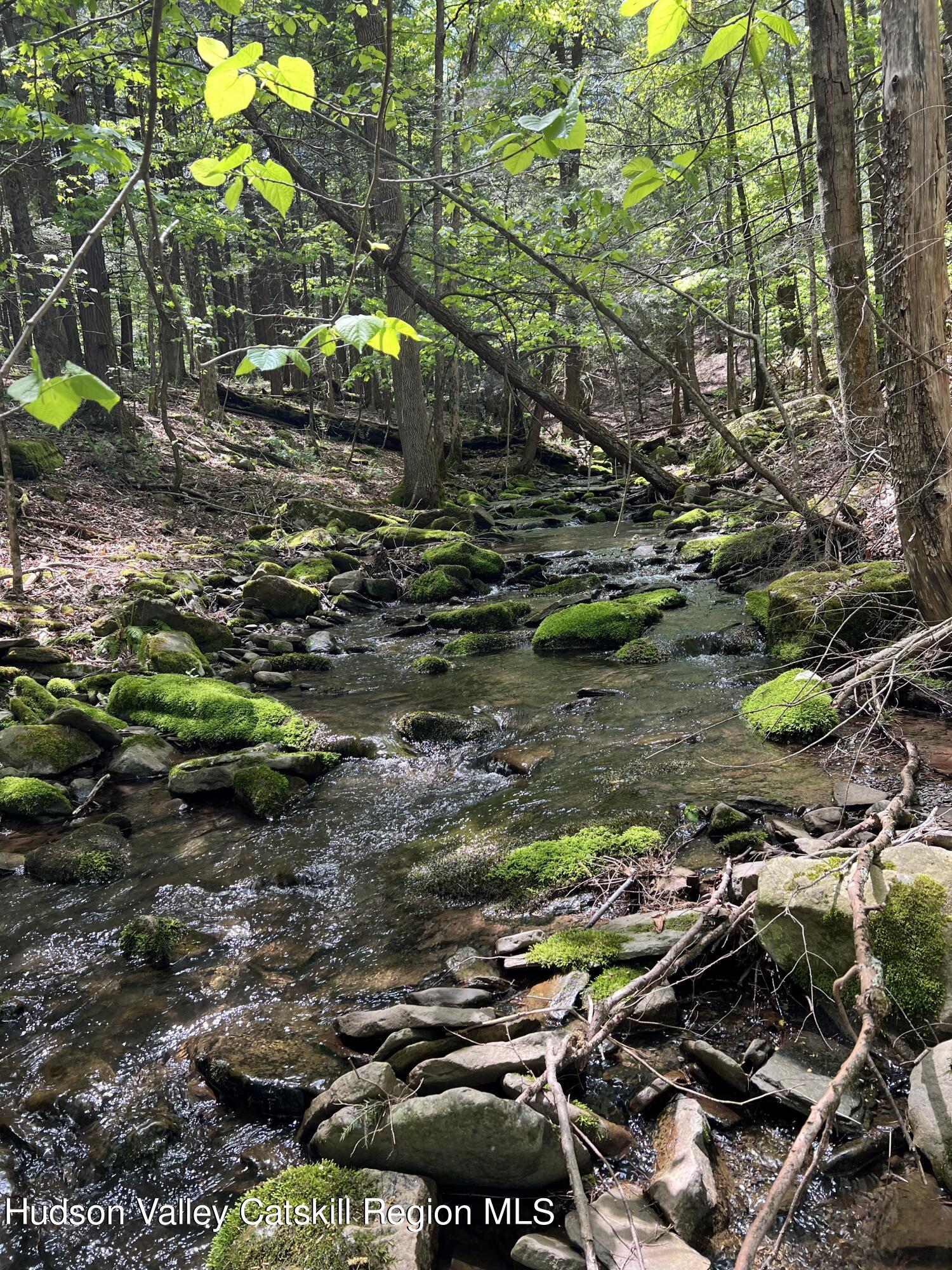 164 Ray Cottone Road Roxbury, NY 12474 - Photo 7 of 37 a backyard of a house with swimming pool and outdoor seating