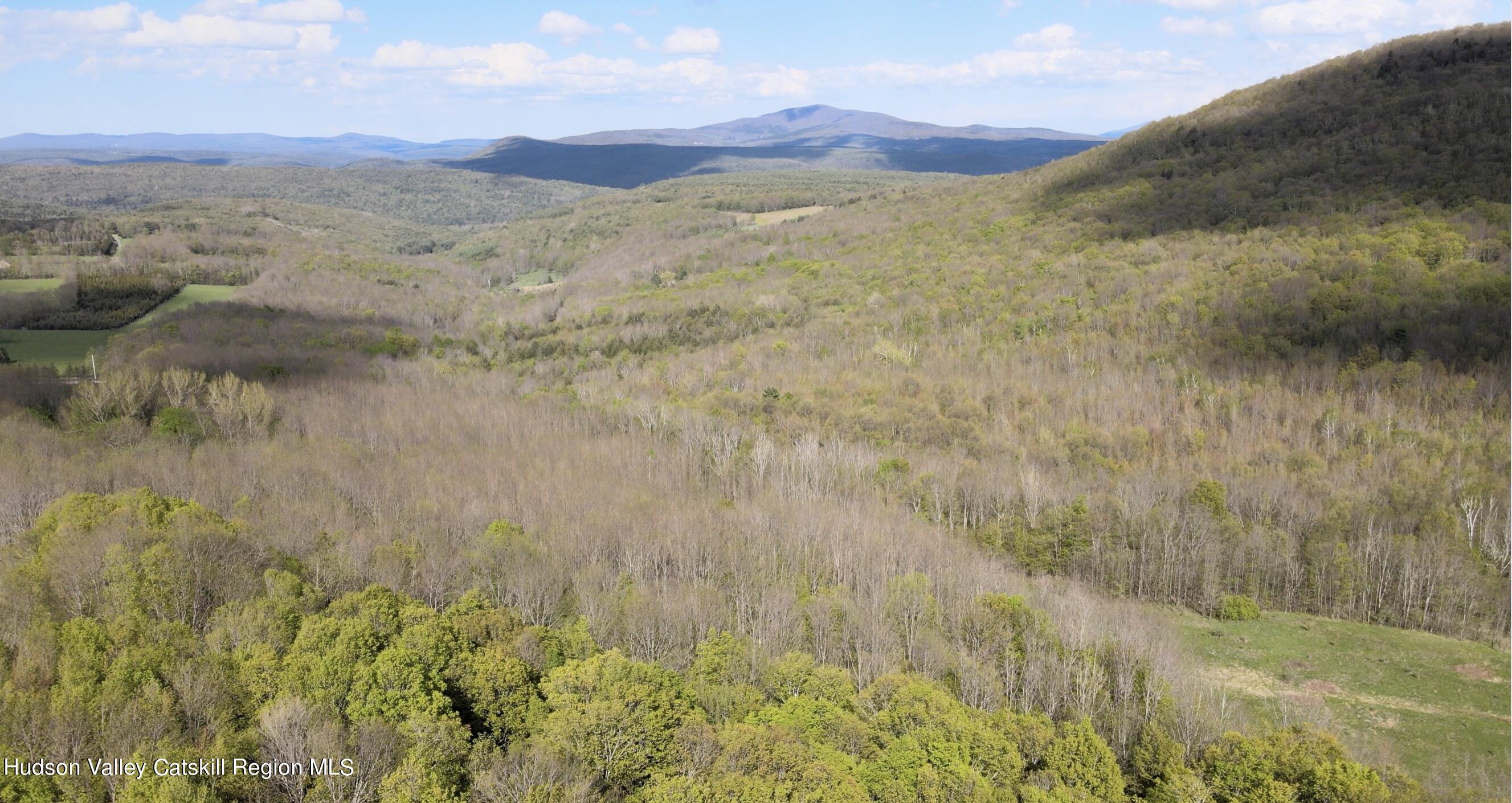 164 Ray Cottone Road Roxbury, NY 12474 - Photo 8 of 37 Screen Shot 2024-05-19 at 7.09.54 PM